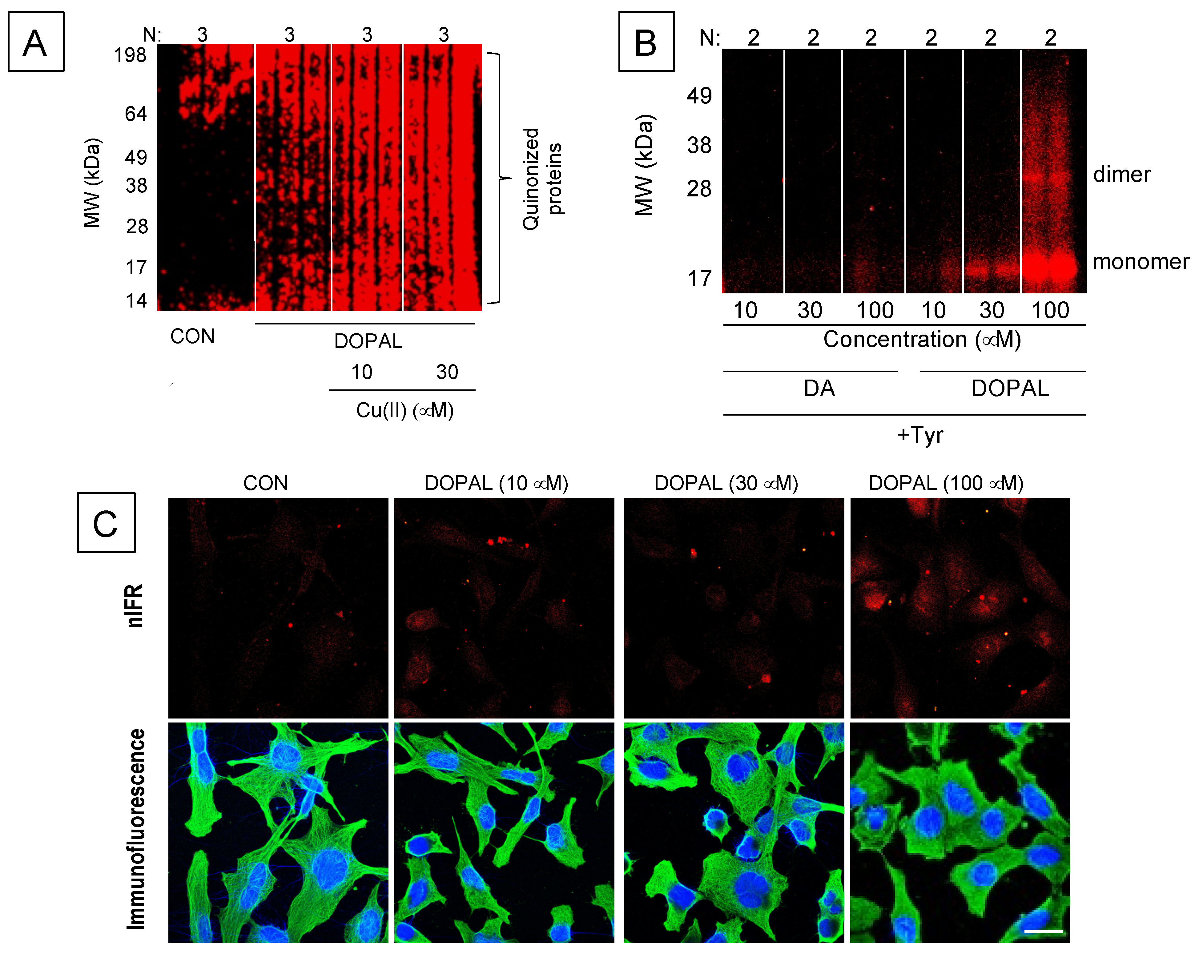 Ijms 22 05999 g005 Ijms 22 05999 g005