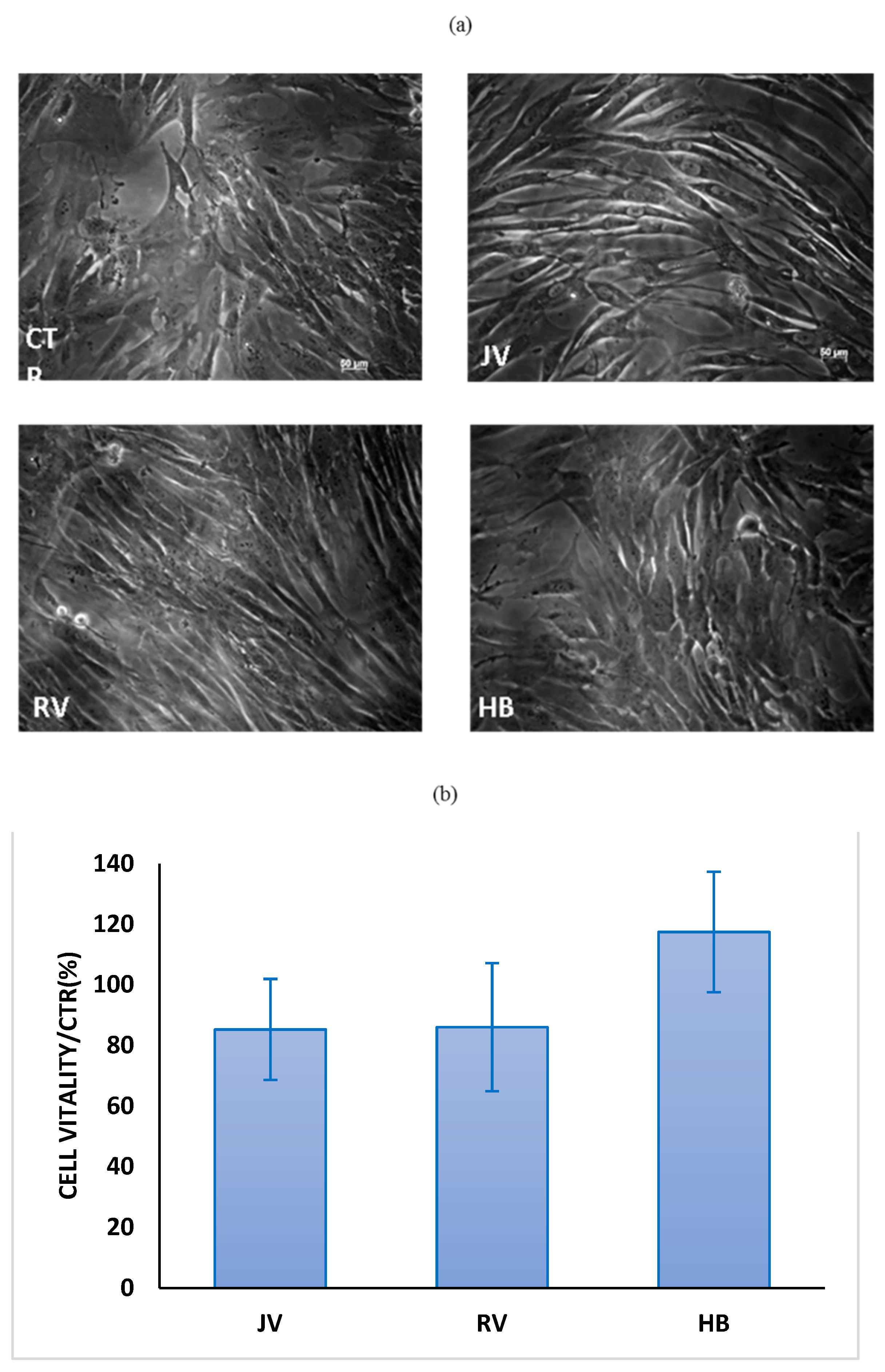 Ijms 22 06005 g006 Ijms 22 06005 g006