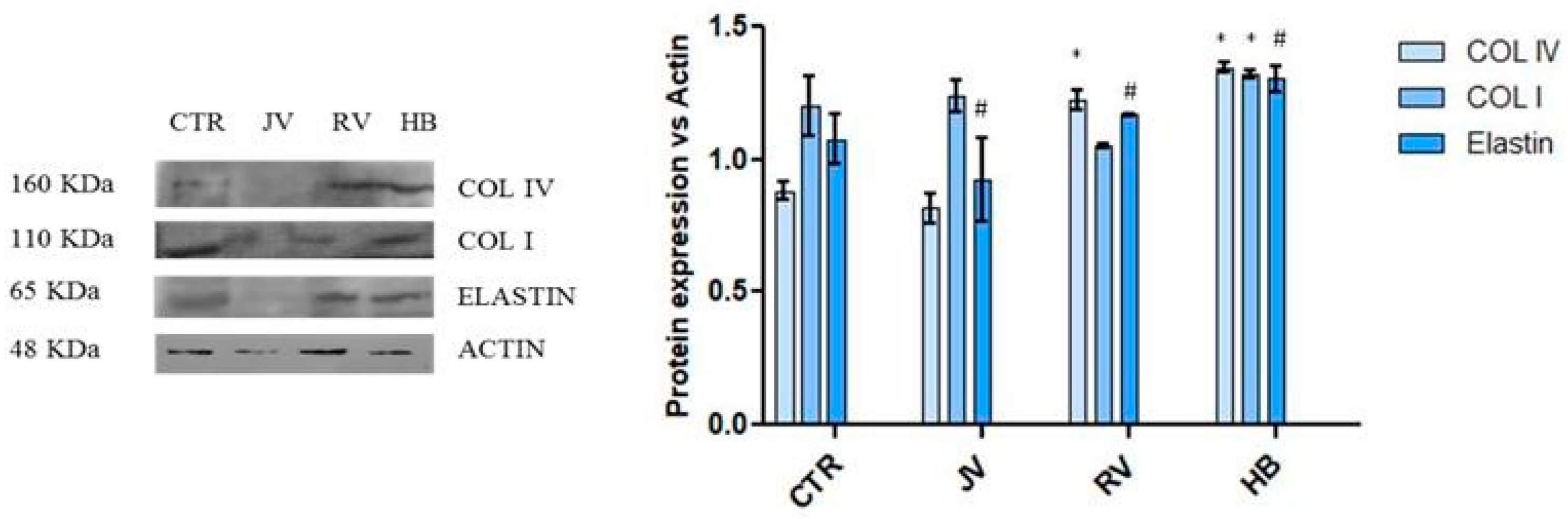 Ijms 22 06005 g008 Ijms 22 06005 g008