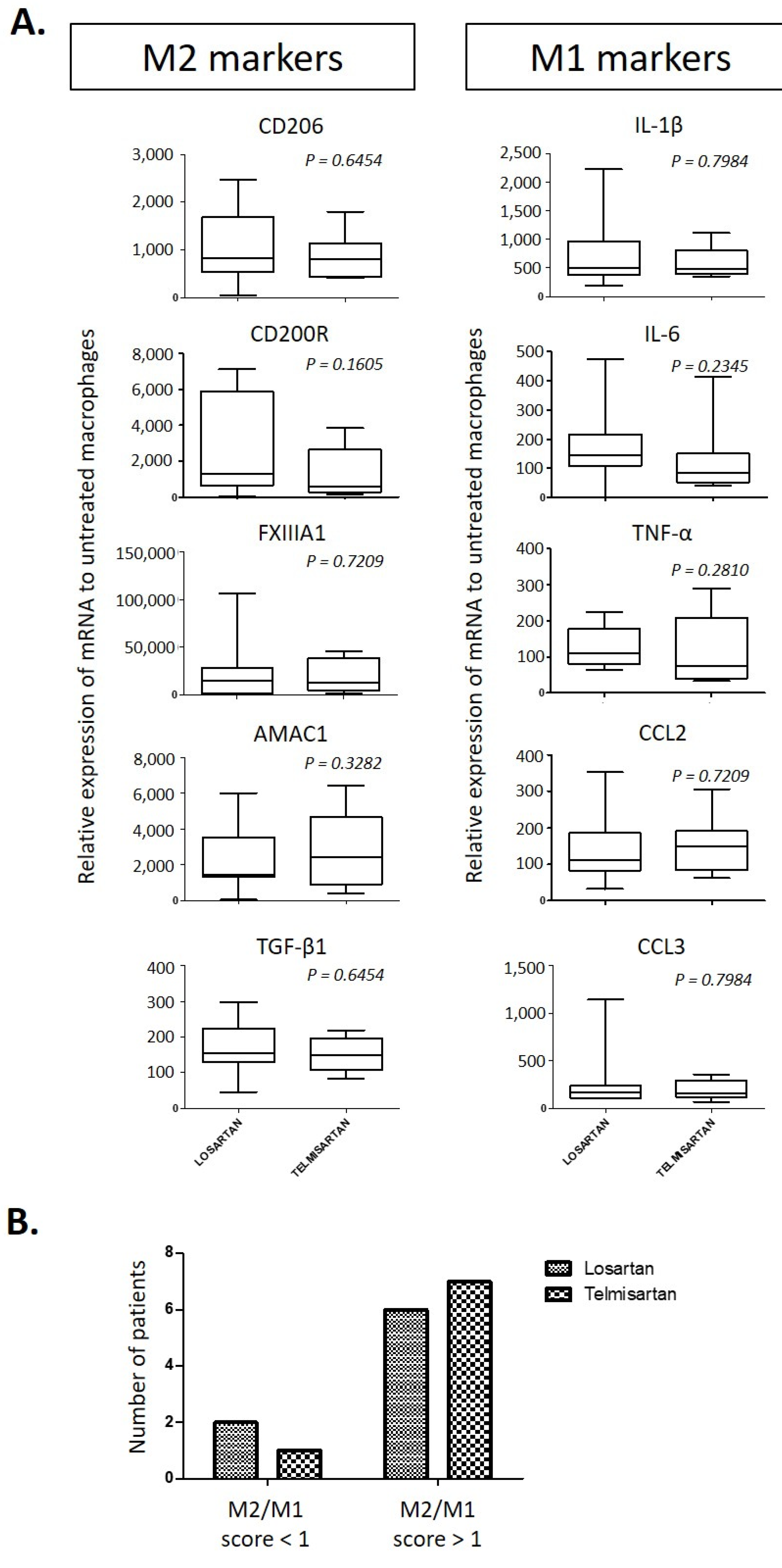 Ijms 22 06009 g003 Ijms 22 06009 g003