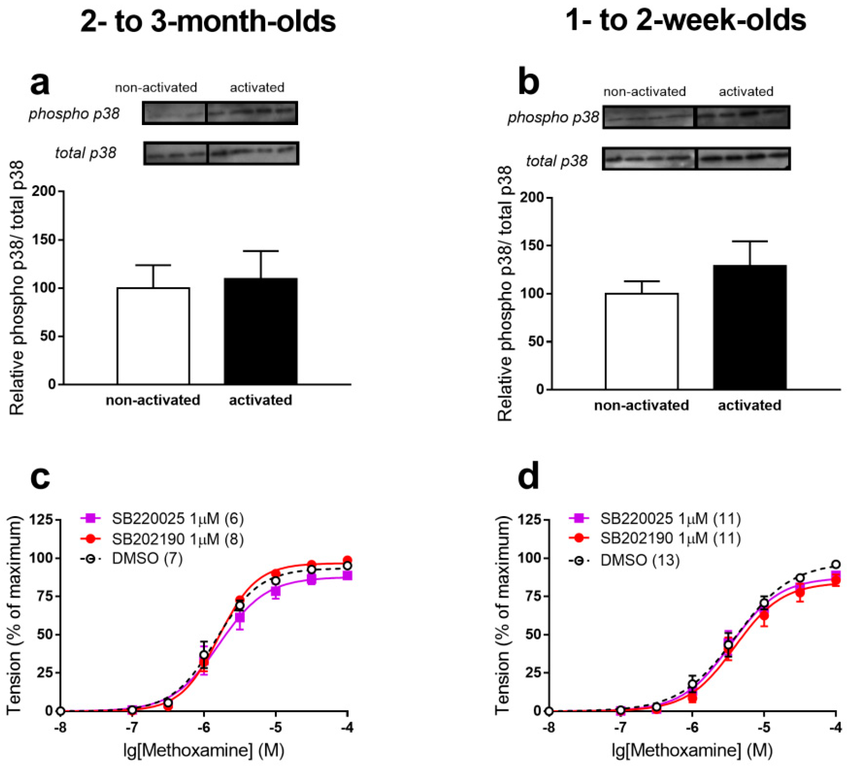Ijms 22 06037 g002 Ijms 22 06037 g002