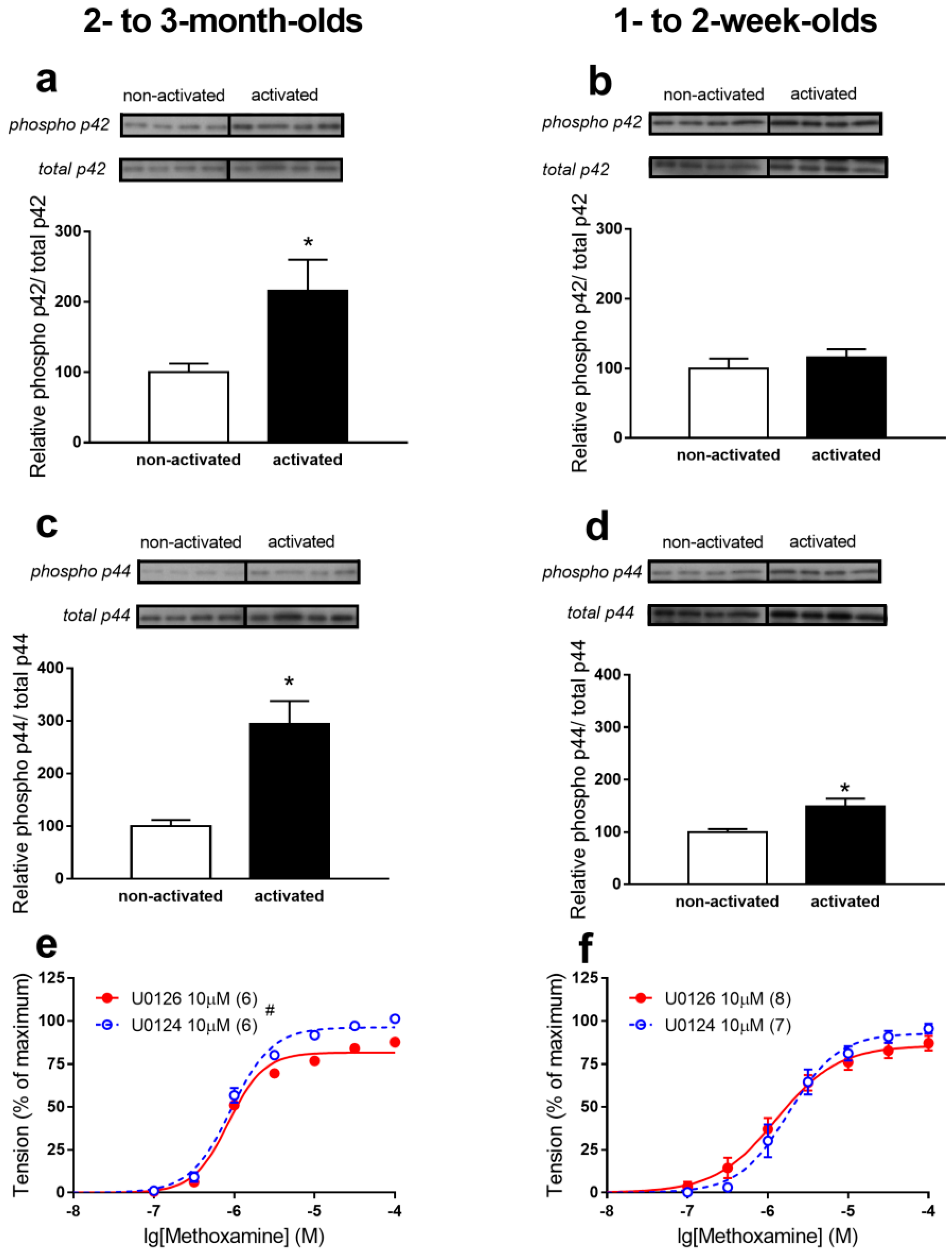 Ijms 22 06037 g003 Ijms 22 06037 g003