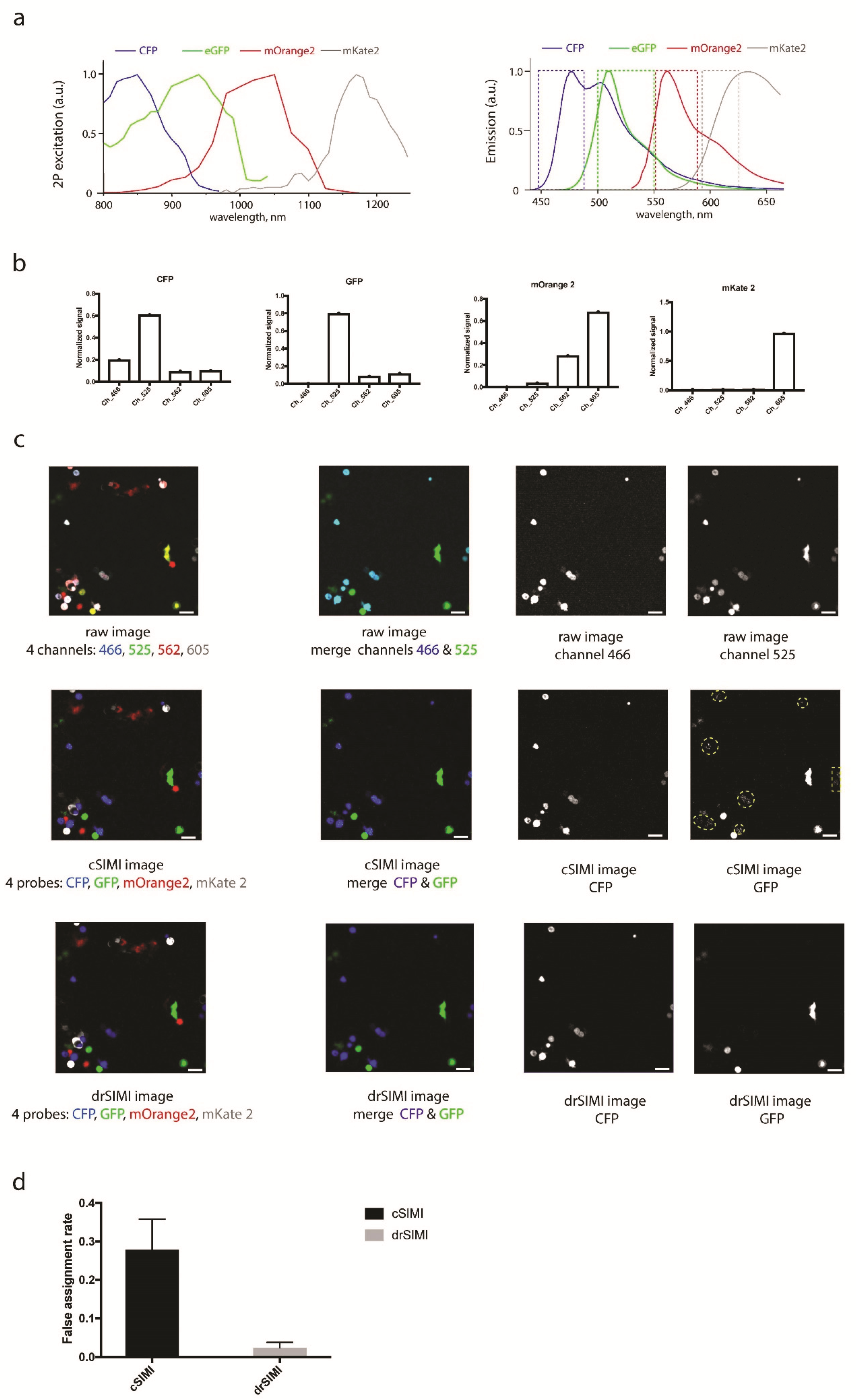 Ijms 22 06046 g001 Ijms 22 06046 g001