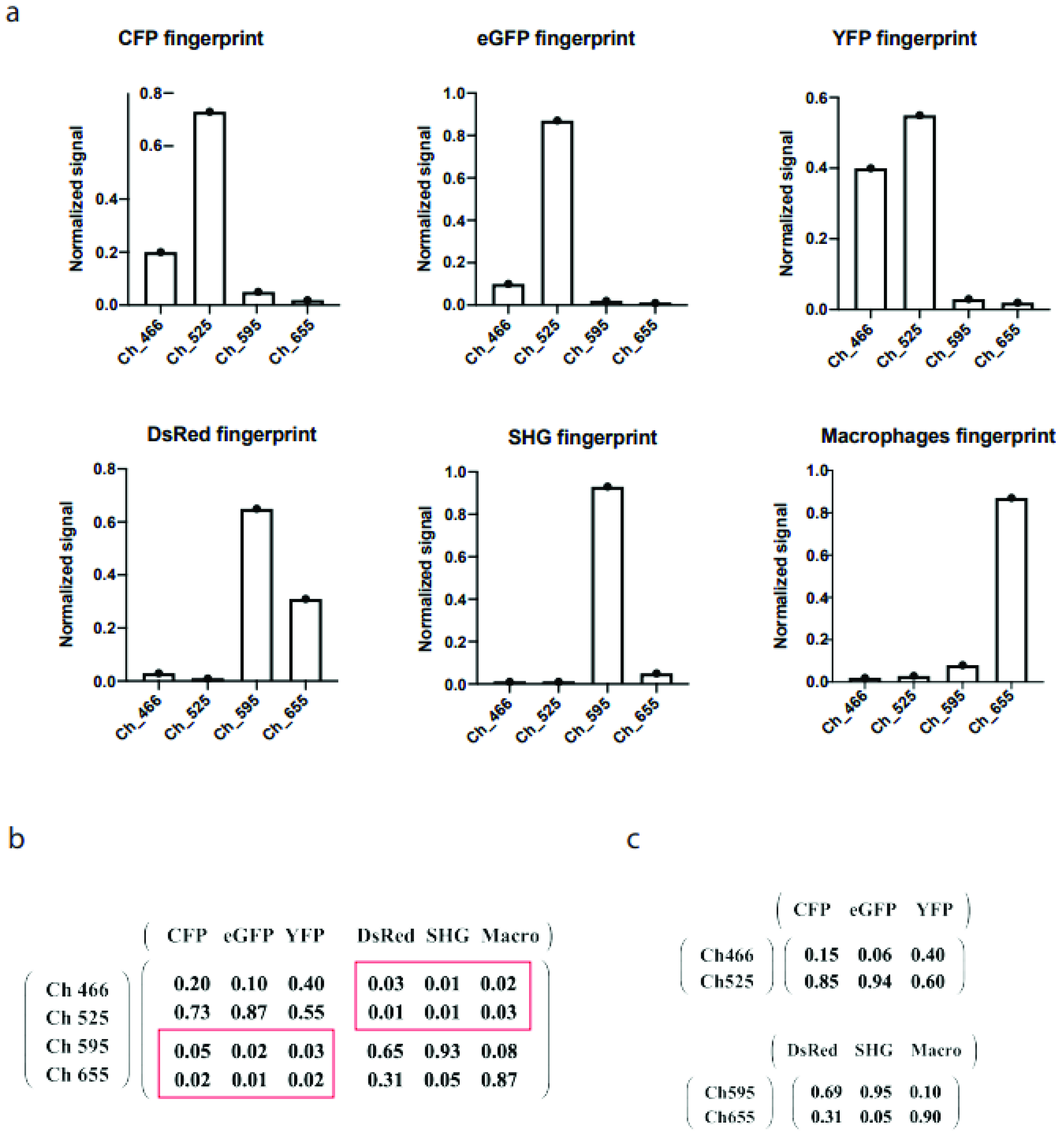 Ijms 22 06046 g002 Ijms 22 06046 g002