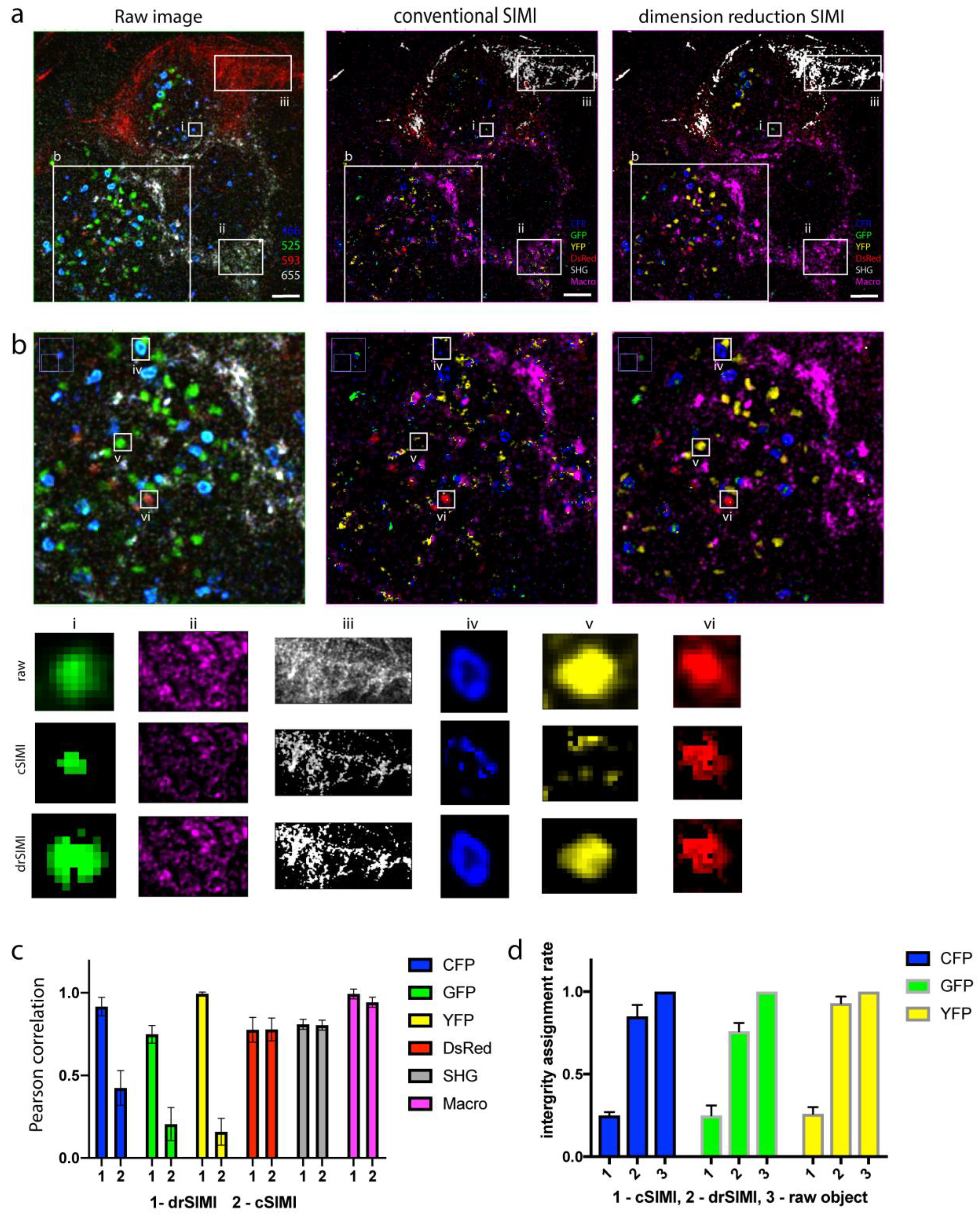 Ijms 22 06046 g003 Ijms 22 06046 g003