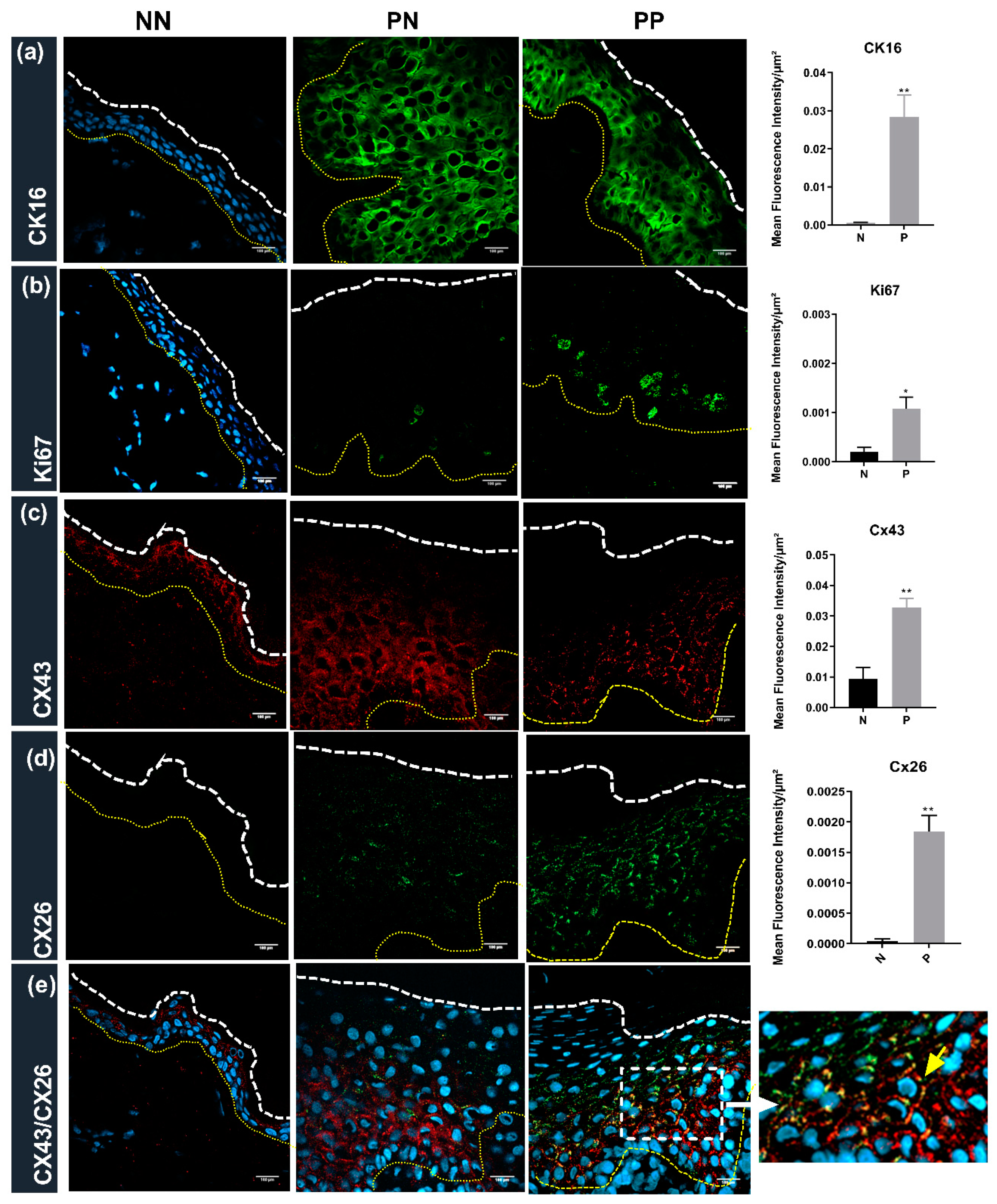 Ijms 22 06060 g002 Ijms 22 06060 g002