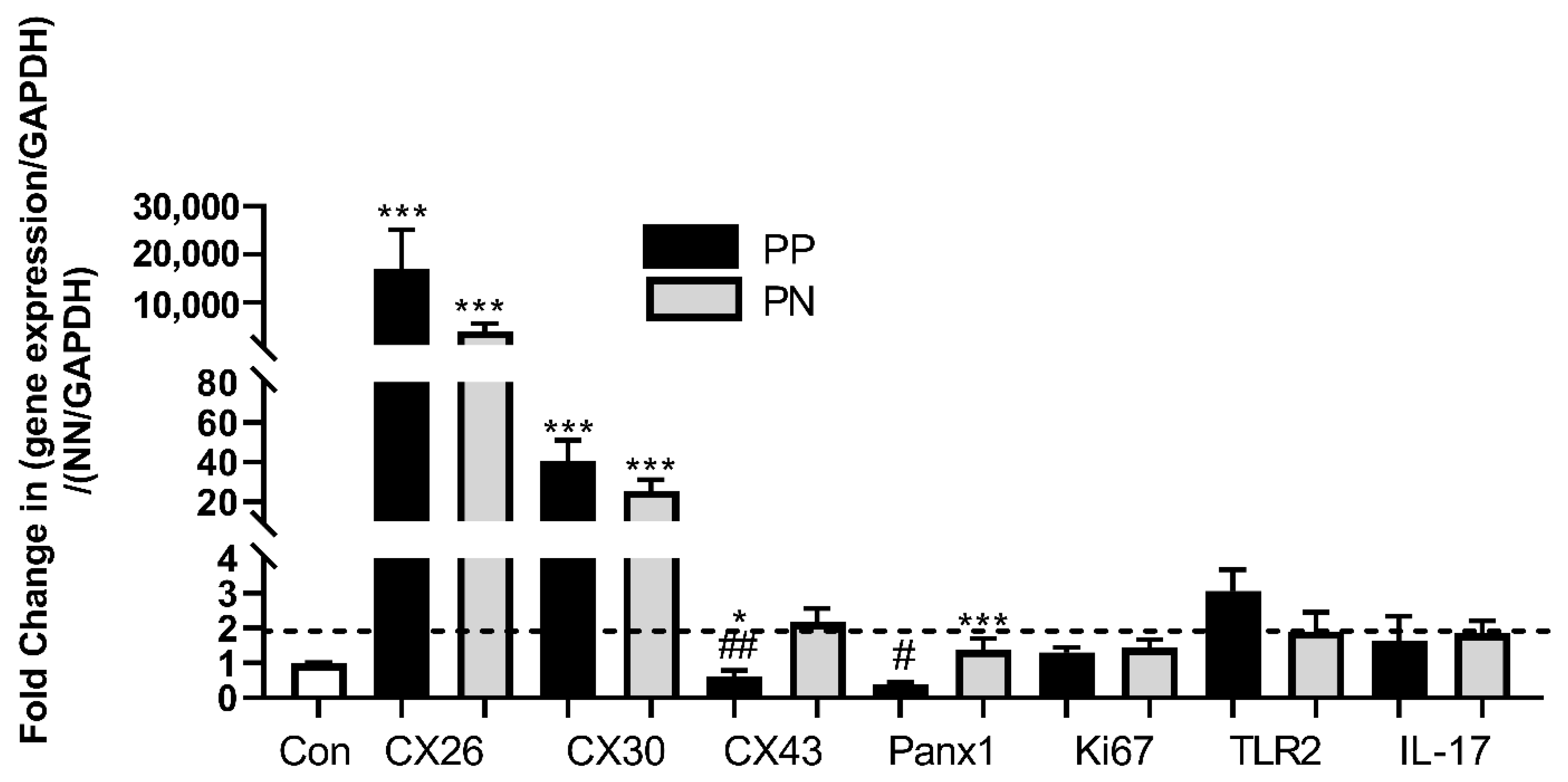 Ijms 22 06060 g003 Ijms 22 06060 g003