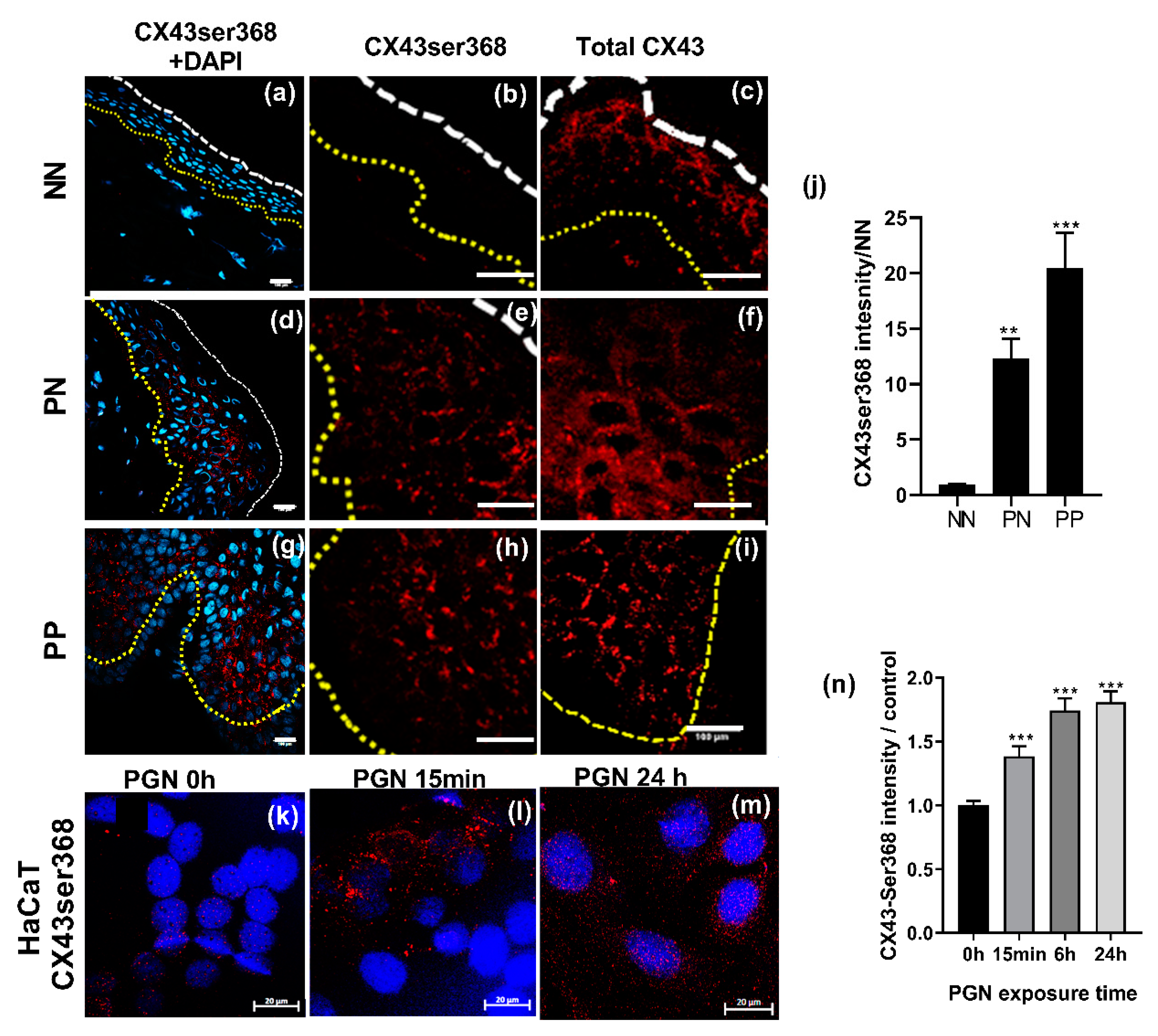 Ijms 22 06060 g004 Ijms 22 06060 g004