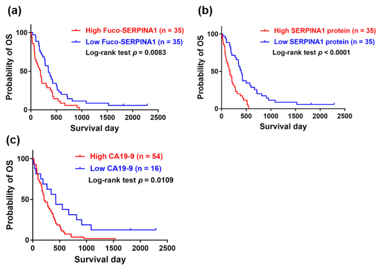 Ijms 22 06079 g008 Ijms 22 06079 g008