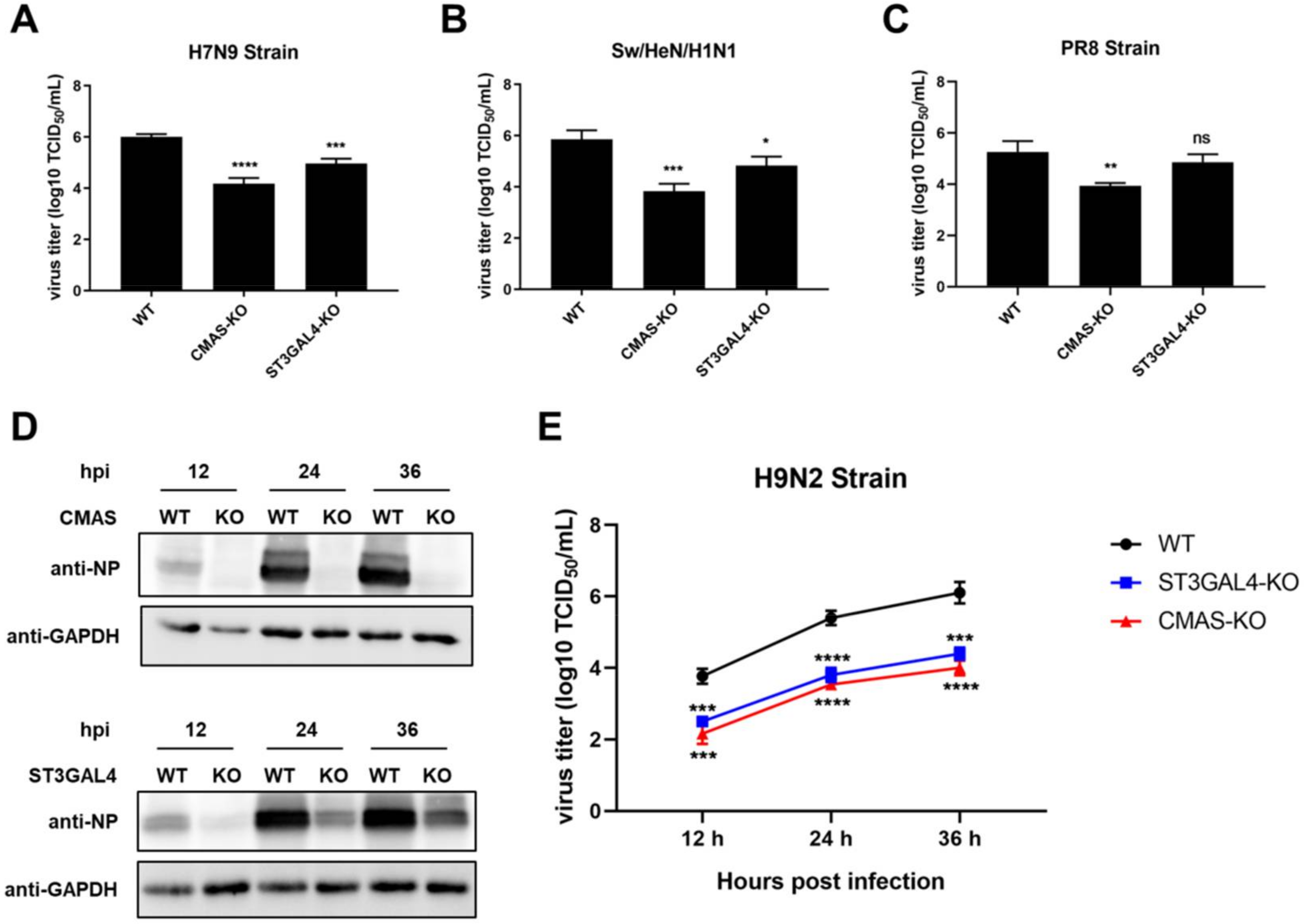 Ijms 22 06081 g004 Ijms 22 06081 g004