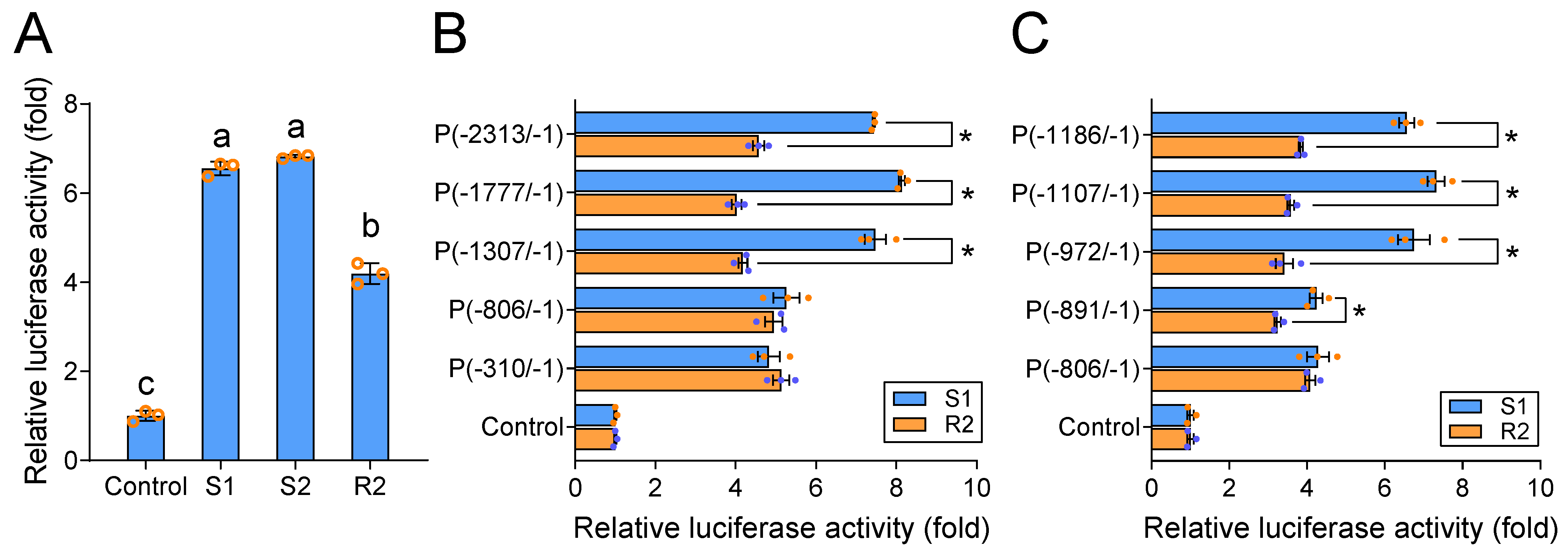 Ijms 22 06106 g002 Ijms 22 06106 g002