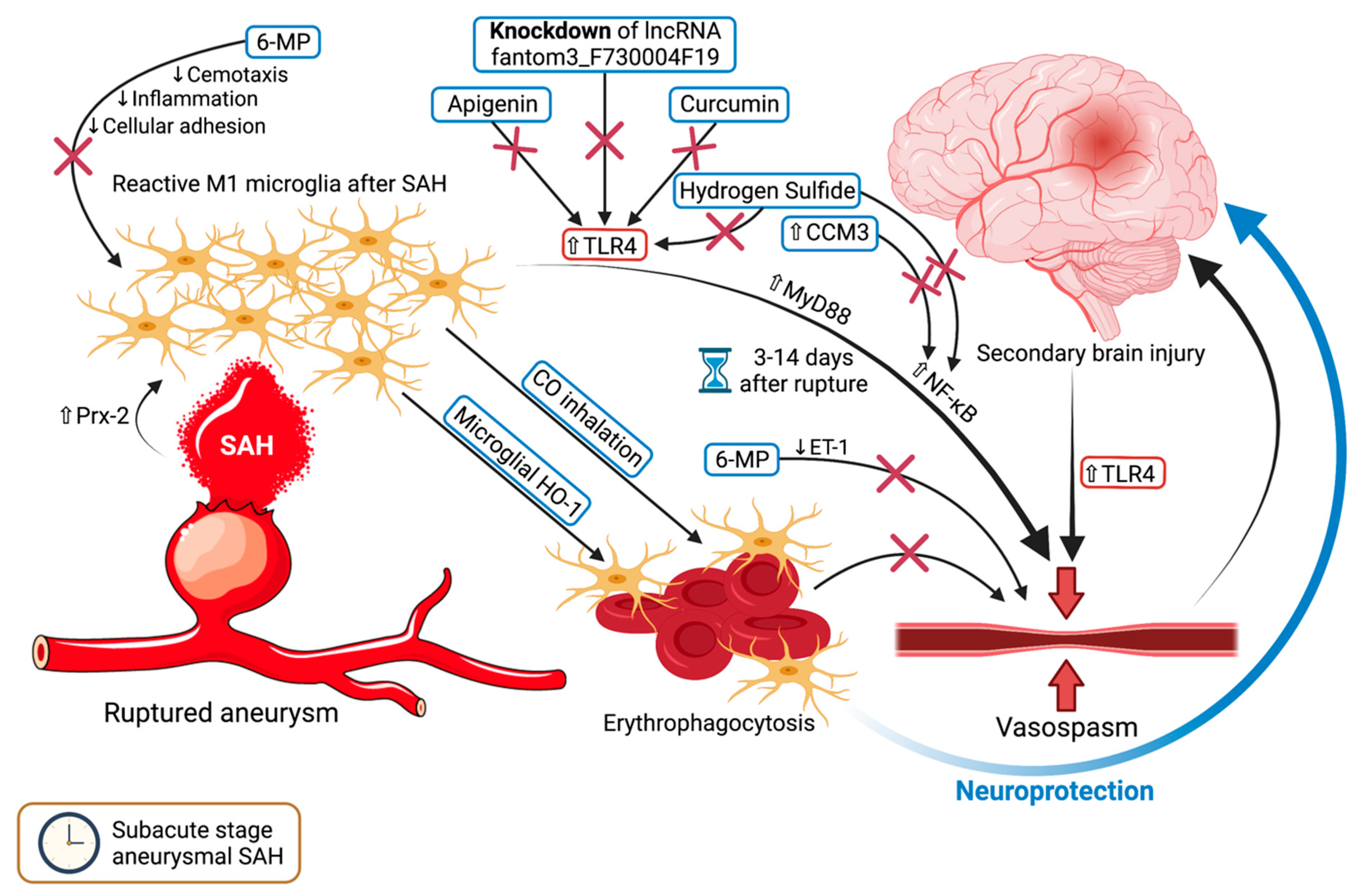 Ijms 22 06141 g002 Ijms 22 06141 g002