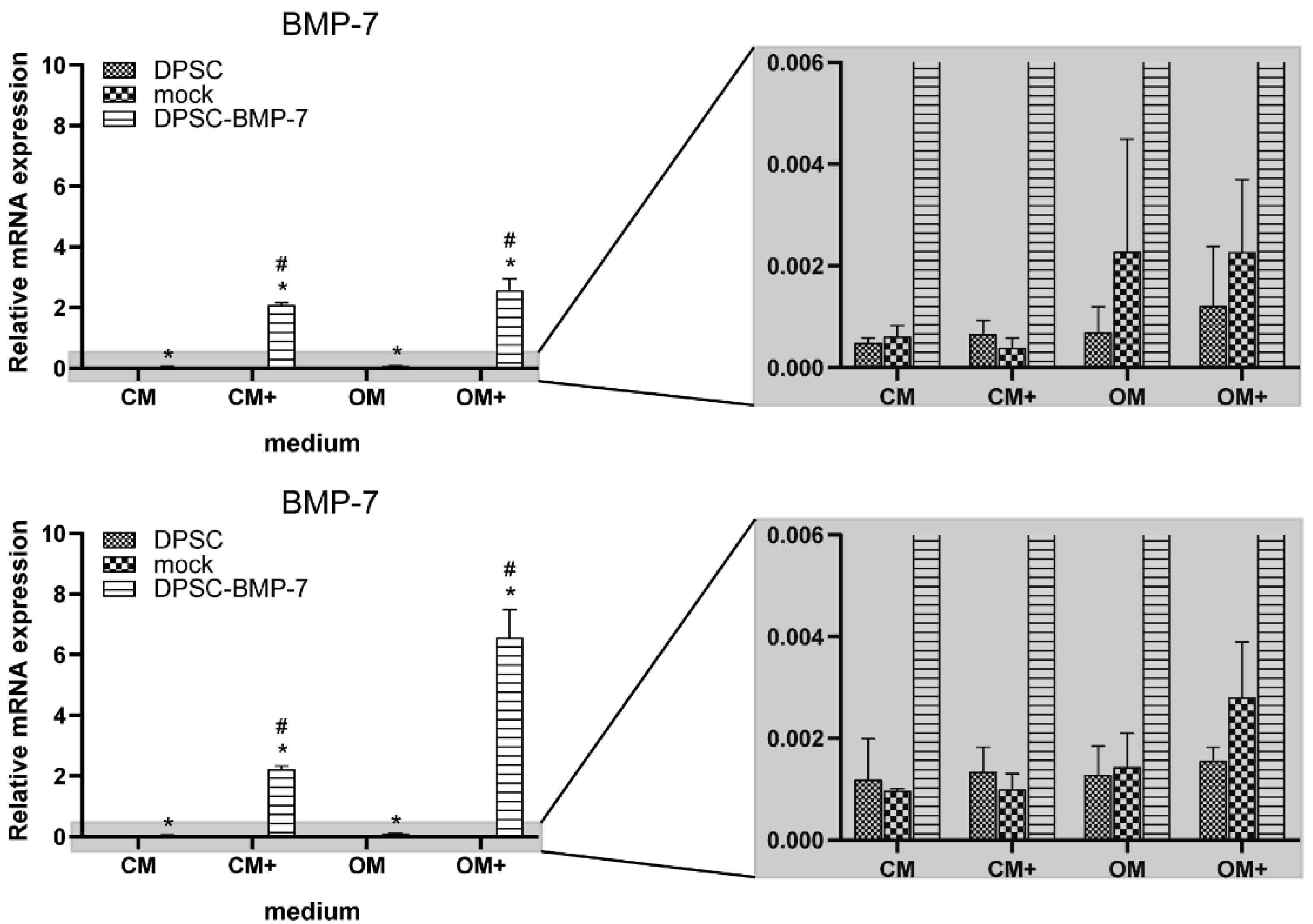 Ijms 22 06182 g002 Ijms 22 06182 g002