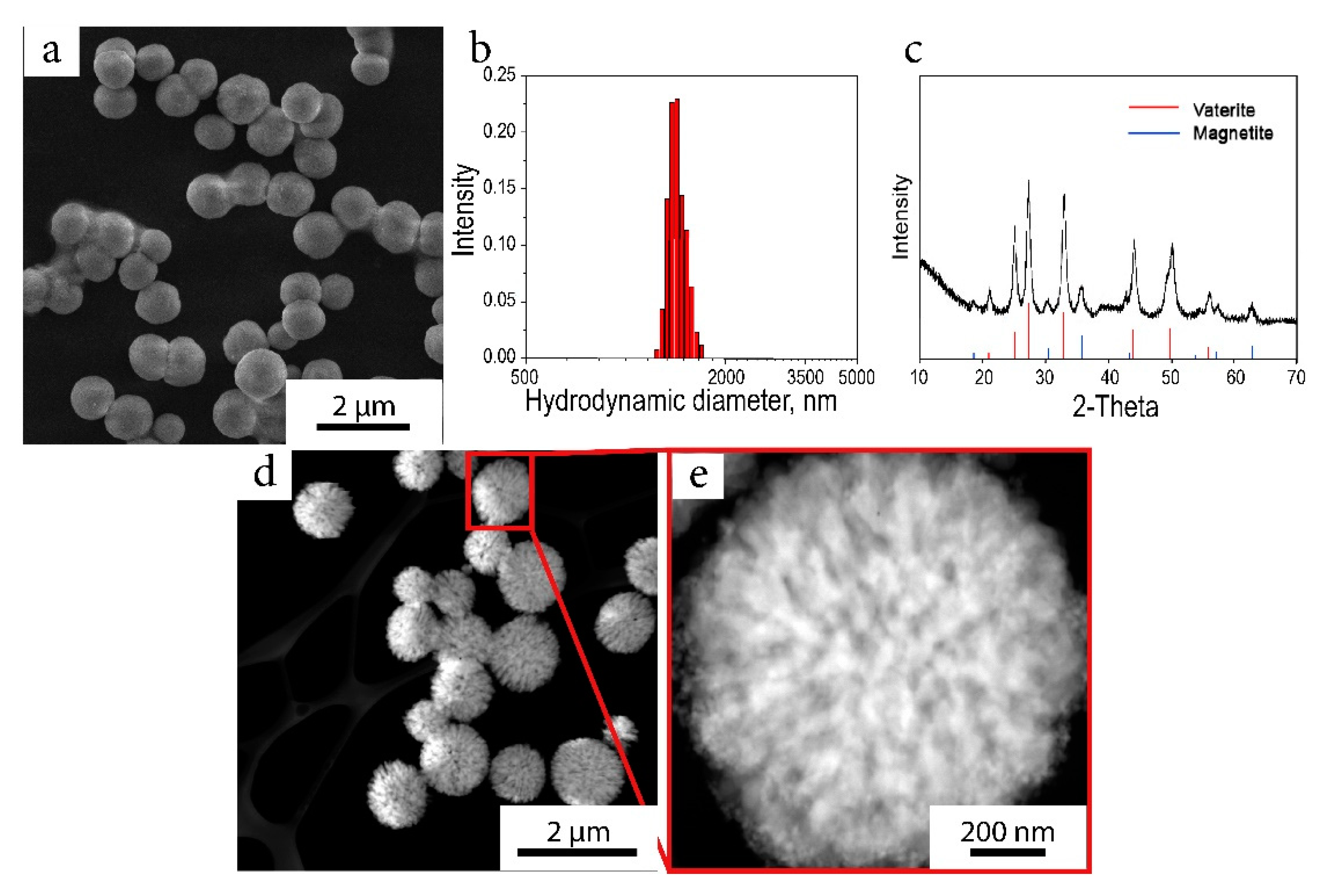 Ijms 22 06187 g002 Ijms 22 06187 g002