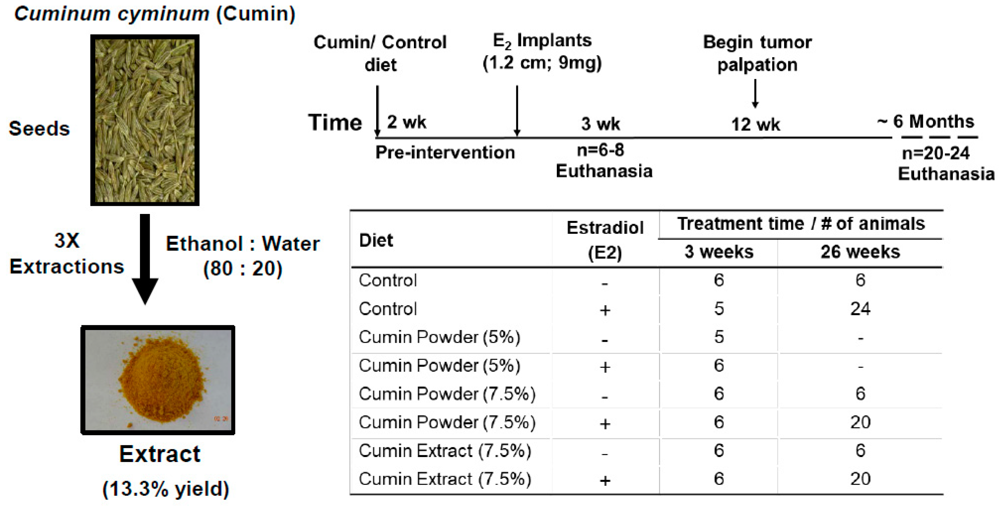 Ijms 22 06194 g008 Ijms 22 06194 g008