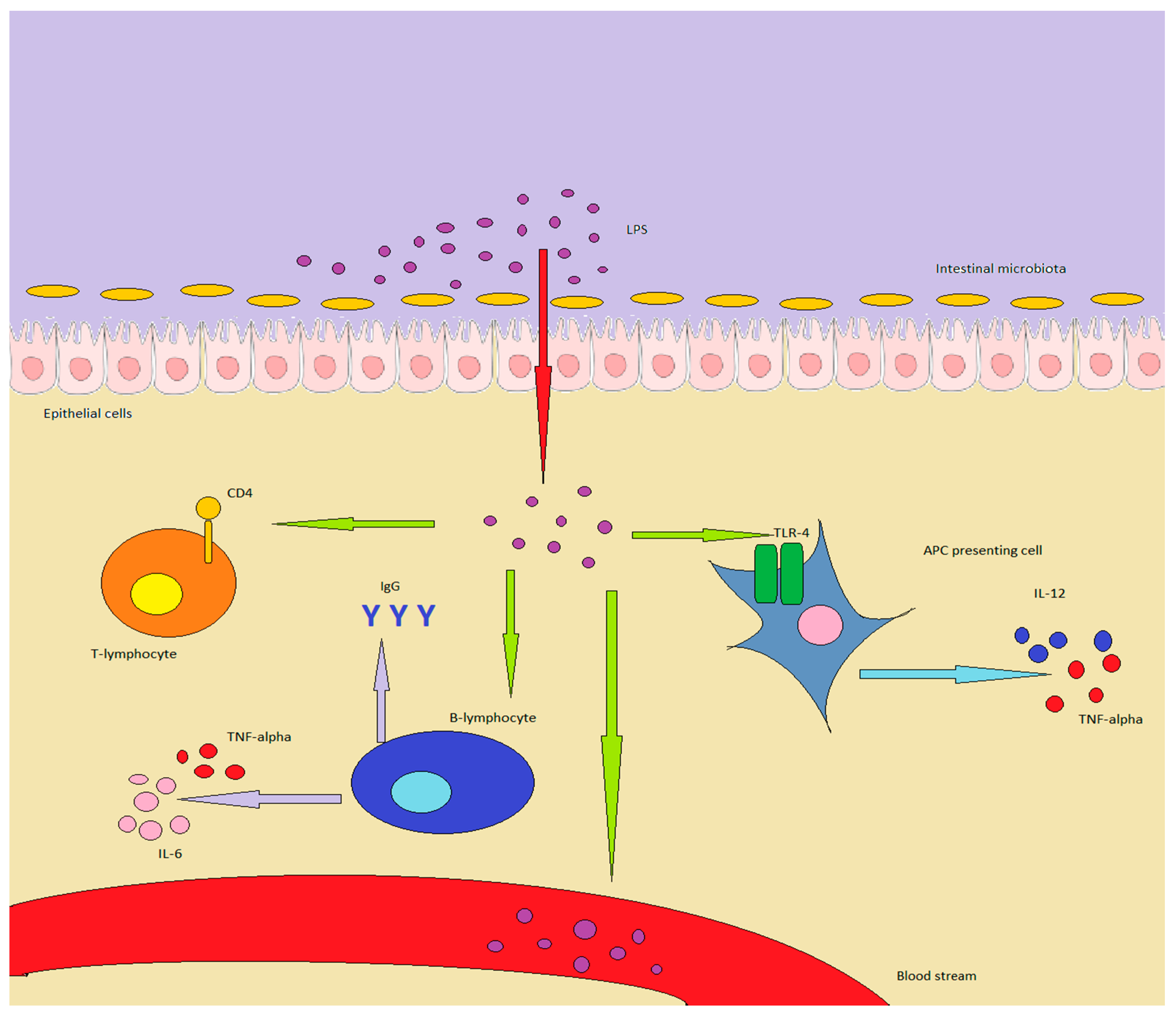 IJMS | Free Full-Text | Interaction between Lipopolysaccharide and Gut  Microbiota in Inflammatory Bowel Diseases | HTML