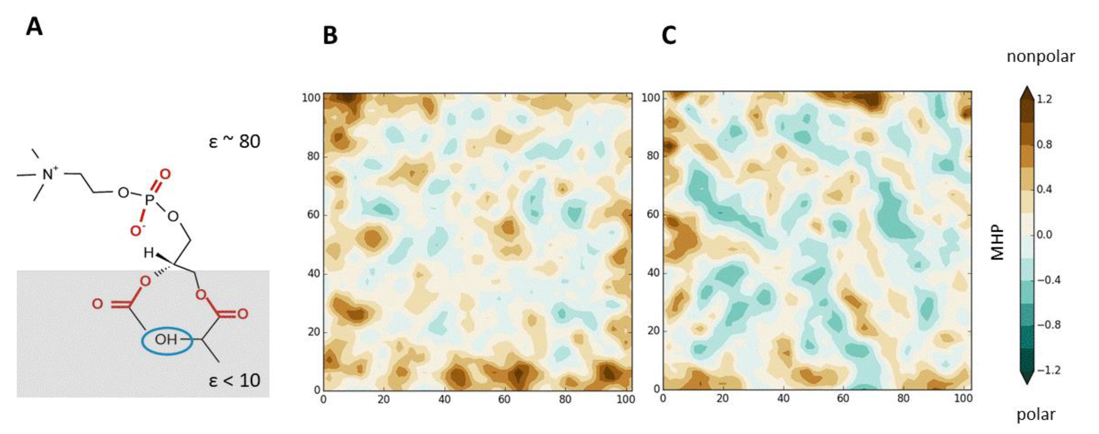 Ijms 22 06250 g001 Ijms 22 06250 g001