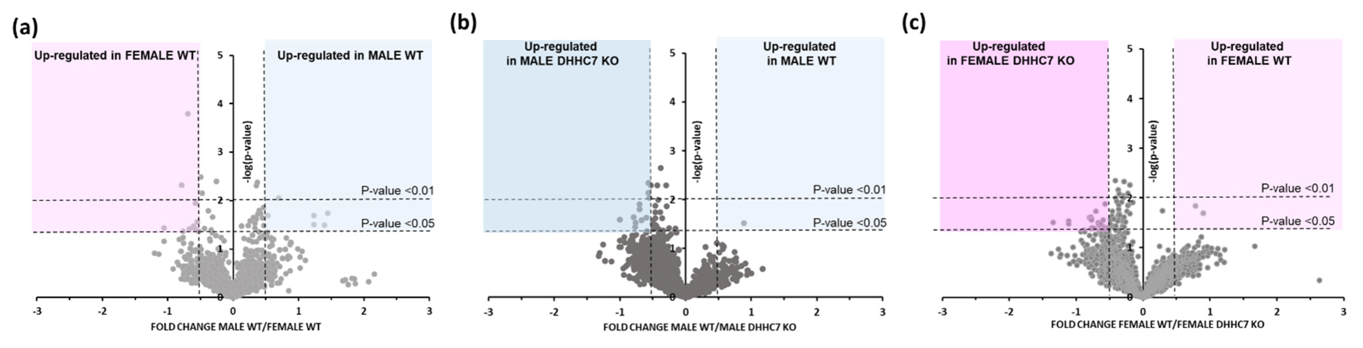 Ijms 22 06253 g005 Ijms 22 06253 g005