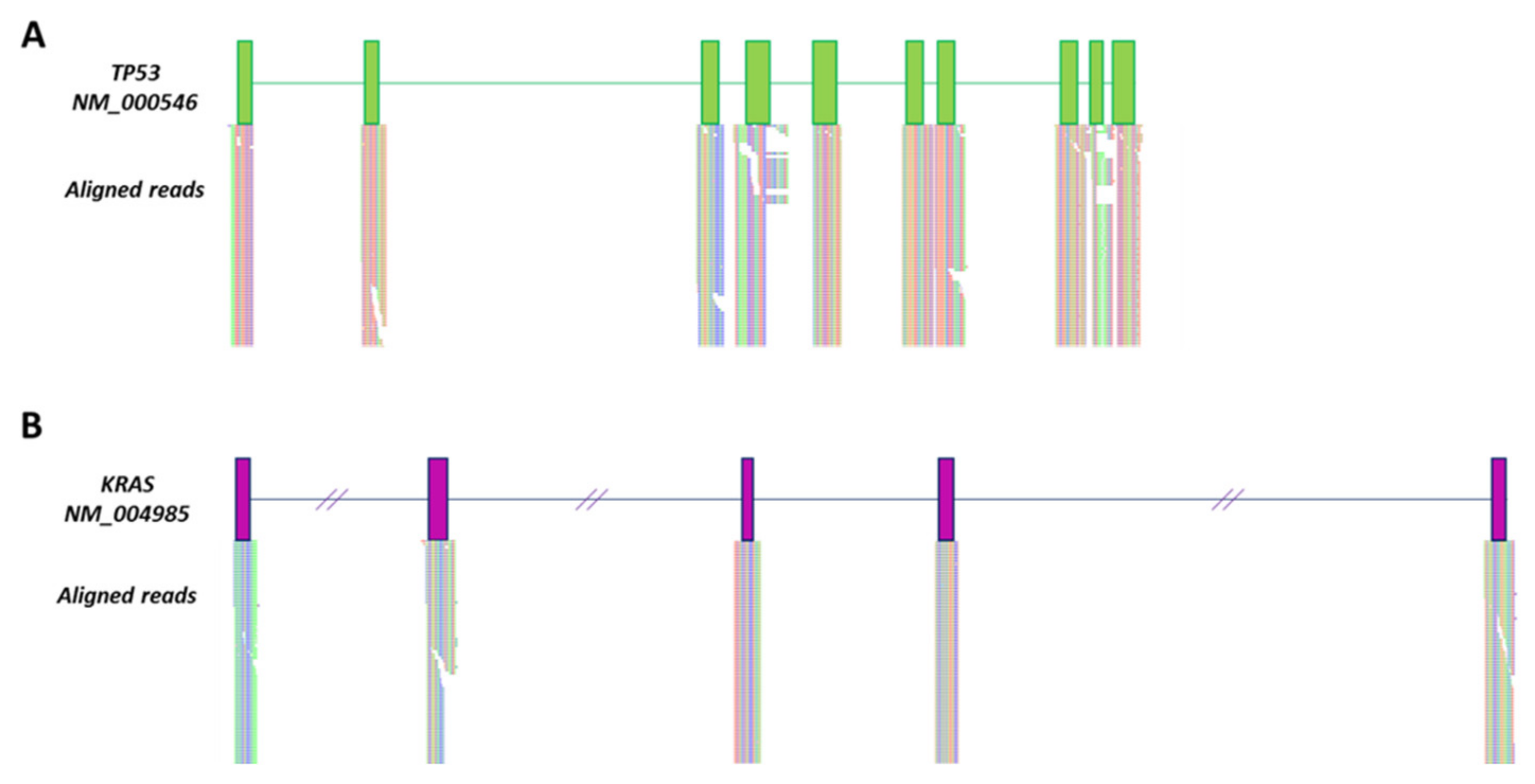 Ijms 22 06258 g002 Ijms 22 06258 g002