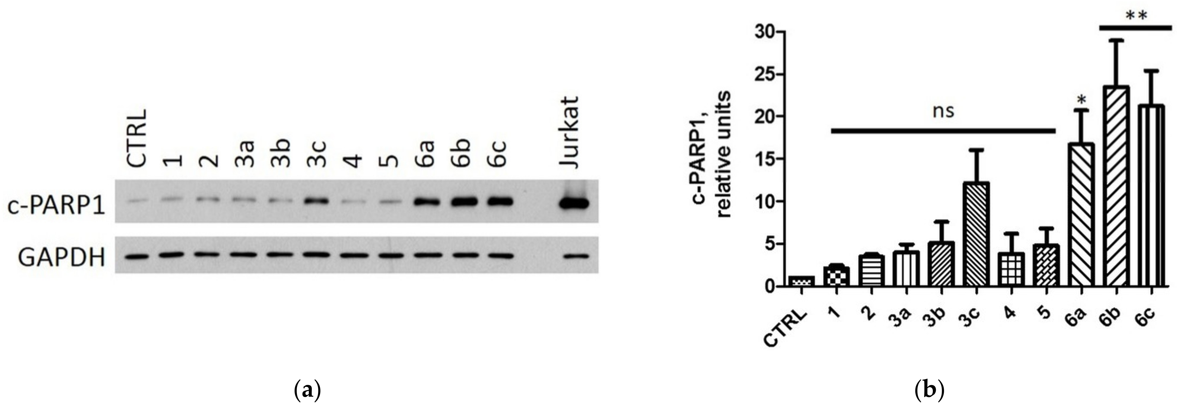 Ijms 22 06261 g008 Ijms 22 06261 g008