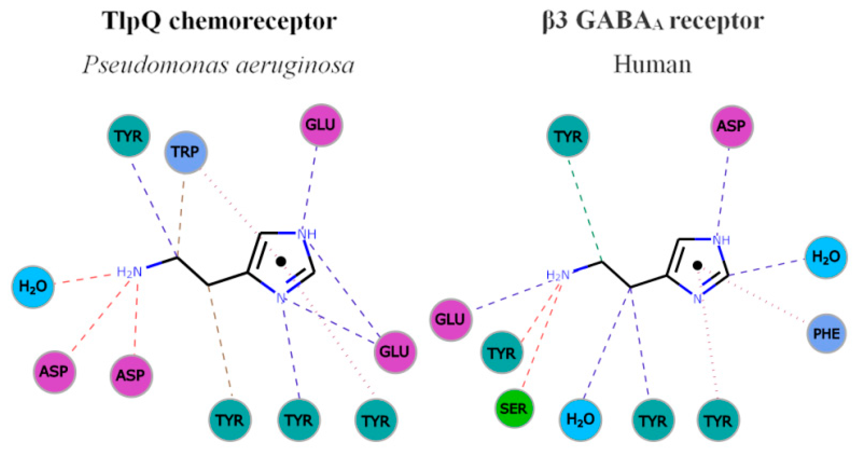 IJMS, Free Full-Text