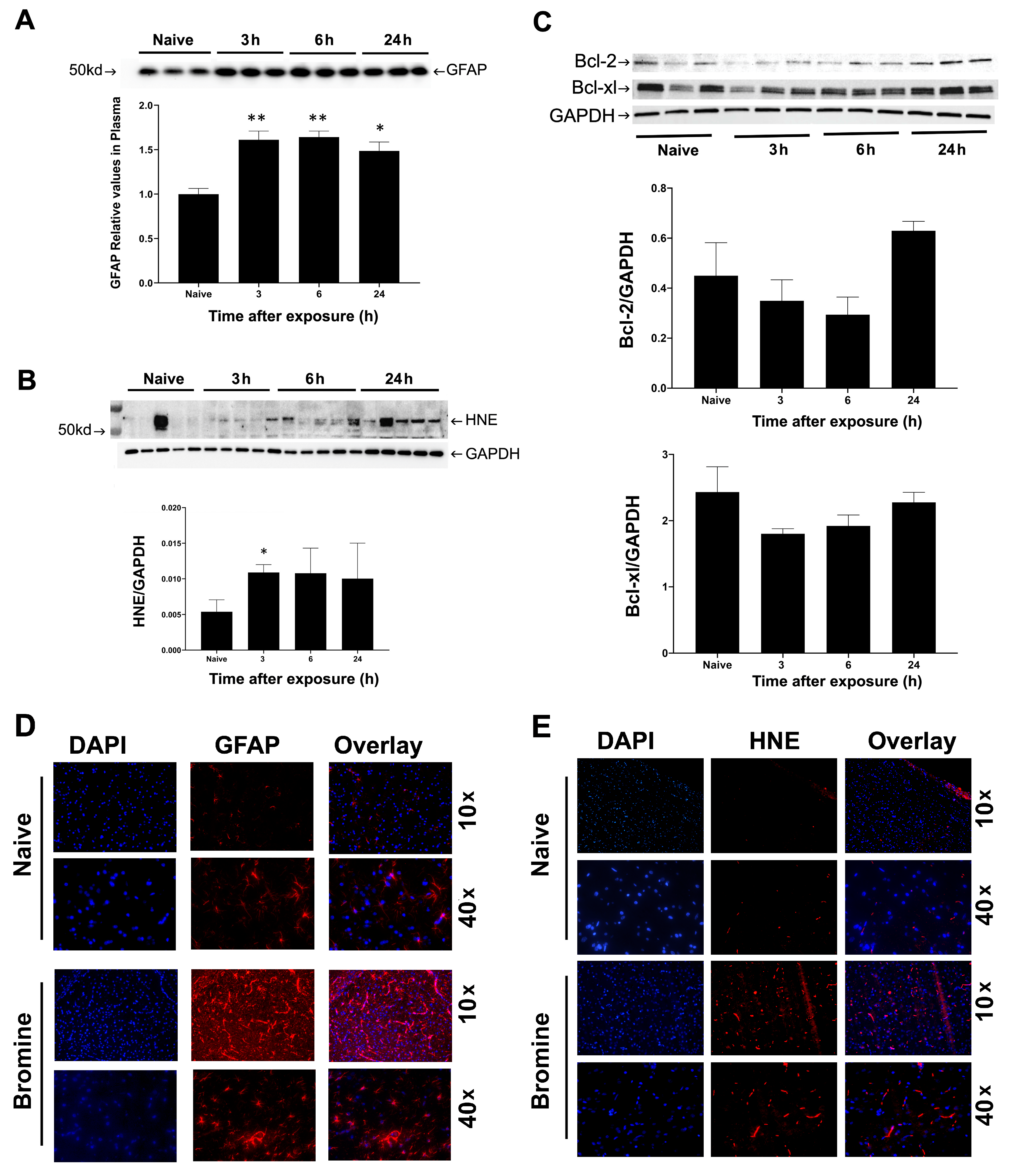 Ijms 22 06316 g002 Ijms 22 06316 g002