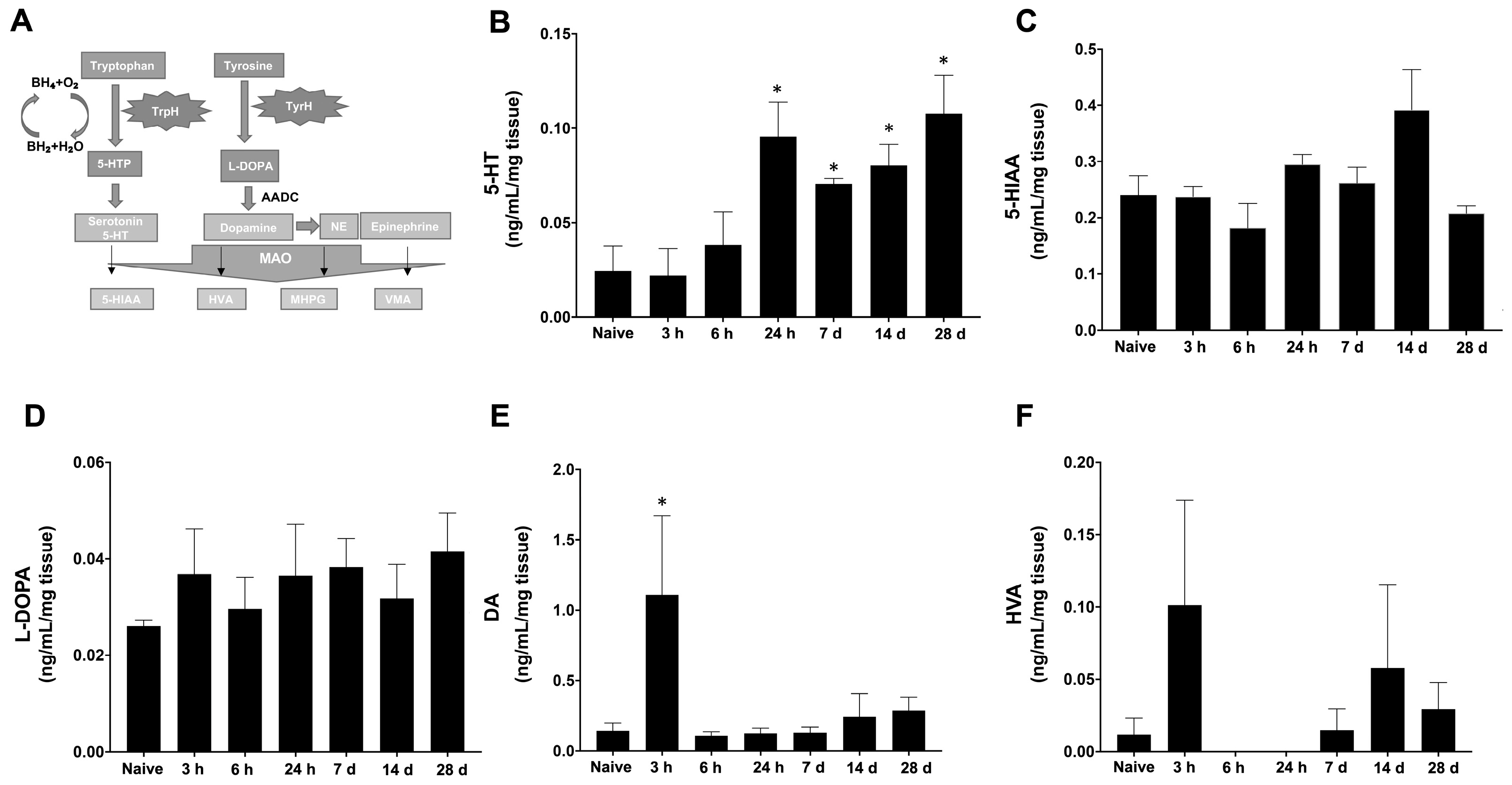Ijms 22 06316 g004 Ijms 22 06316 g004