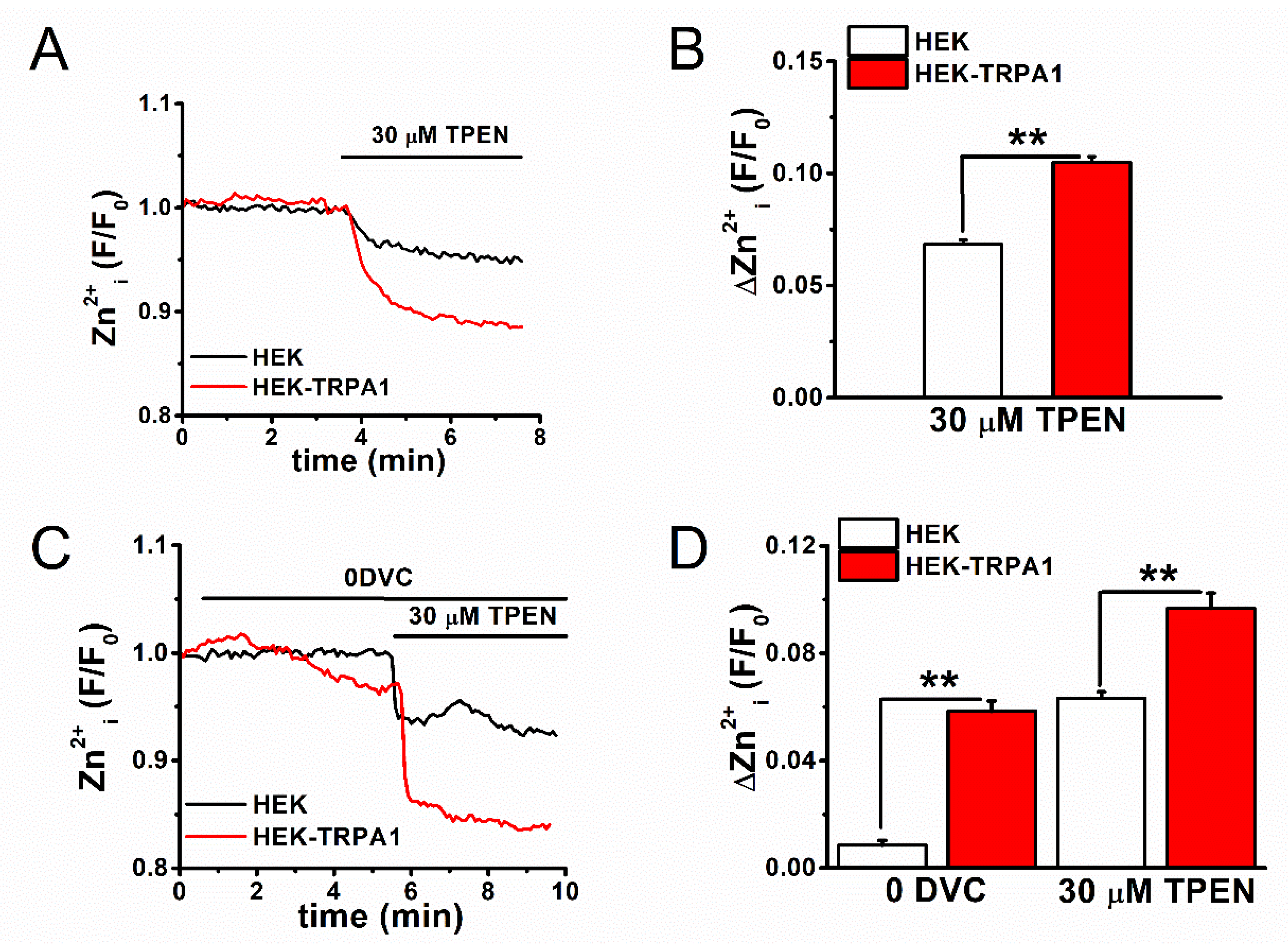 Ijms Free Full Text Hif 1a Dependent Upregulation Of Zip8 Zip14 And Trpa1 Modify Intracellular Zn2 Accumulation In Inflammatory Synoviocytes Html