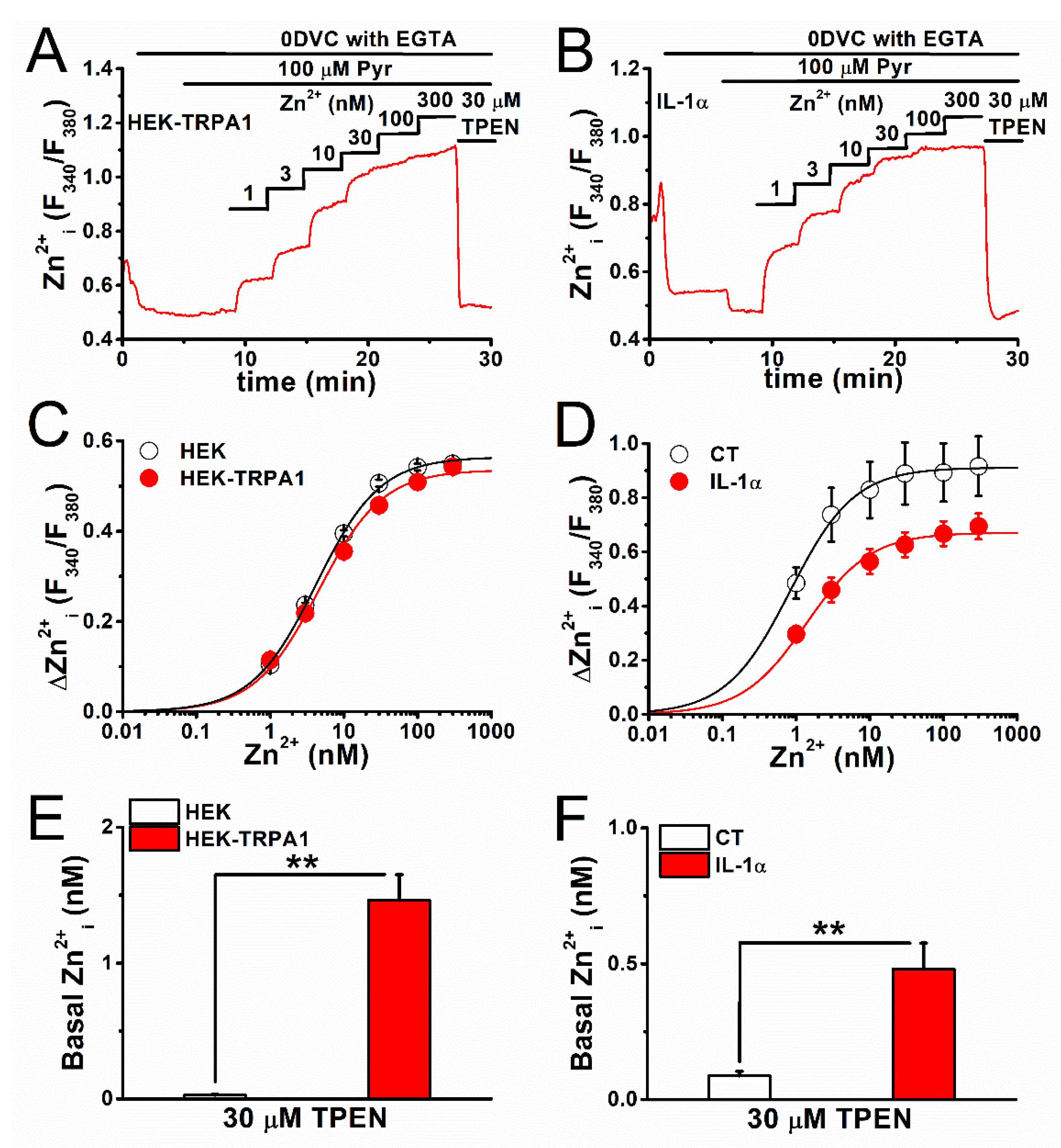 Ijms Free Full Text Hif 1a Dependent Upregulation Of Zip8 Zip14 And Trpa1 Modify Intracellular Zn2 Accumulation In Inflammatory Synoviocytes Html