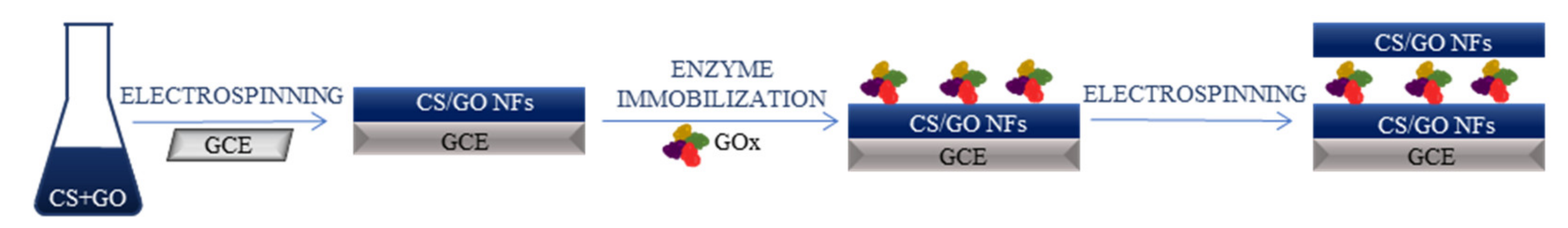 Ijms 22 06357 g008 Ijms 22 06357 g008