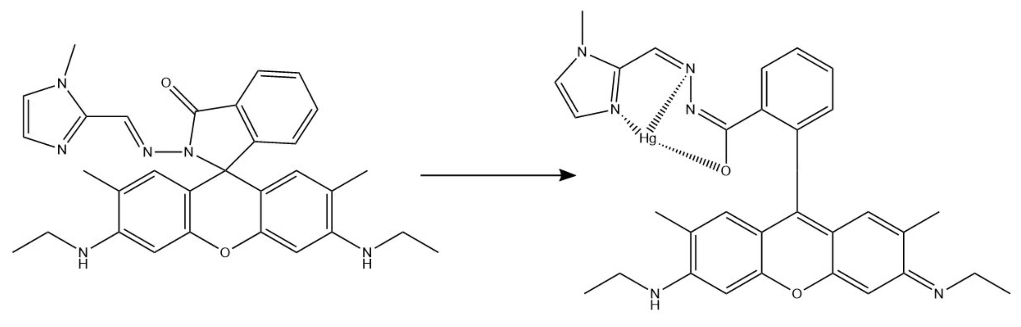 Ijms 22 06357 g010 Ijms 22 06357 g010
