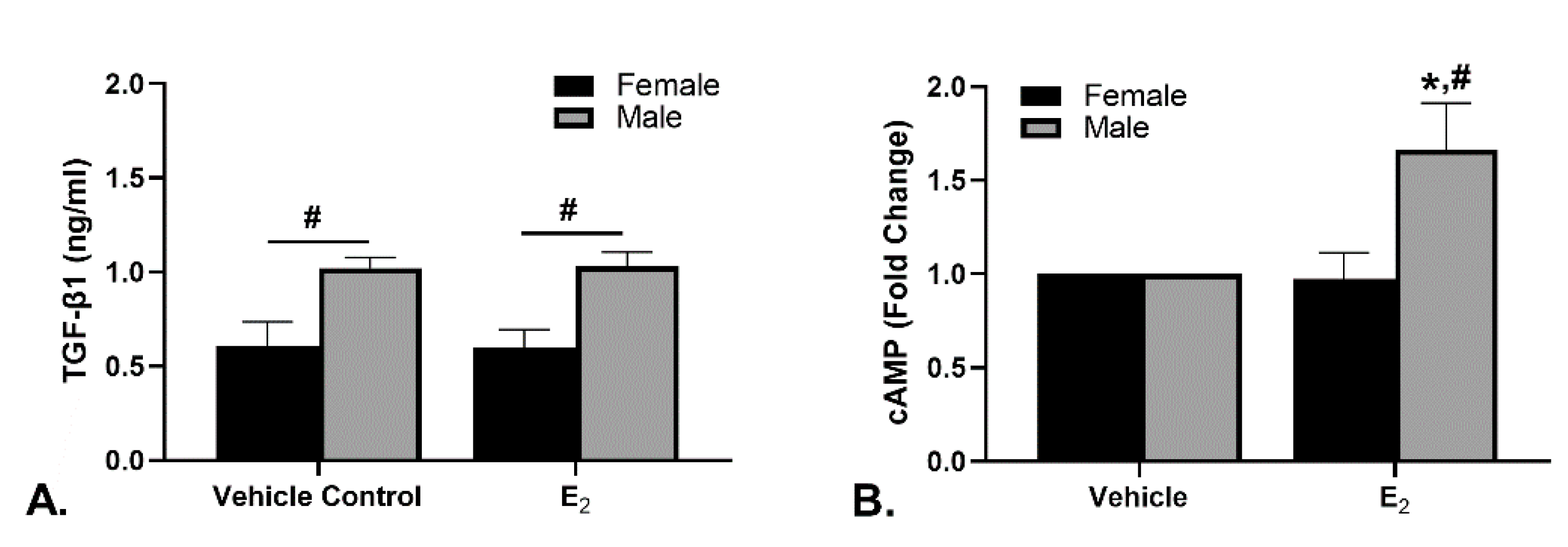 Ijms 22 06358 g003 Ijms 22 06358 g003
