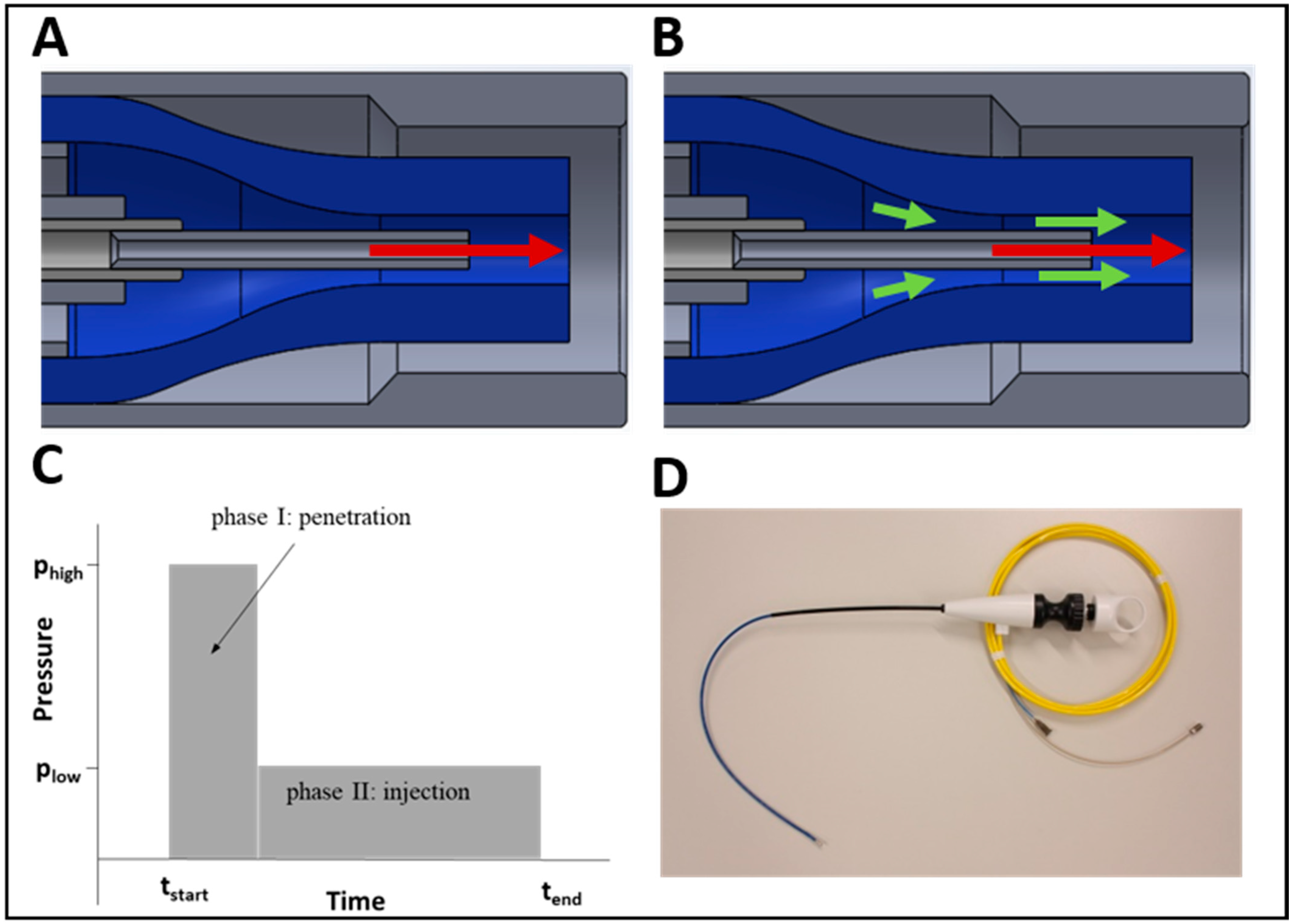 Ijms 22 06367 g008 Ijms 22 06367 g008