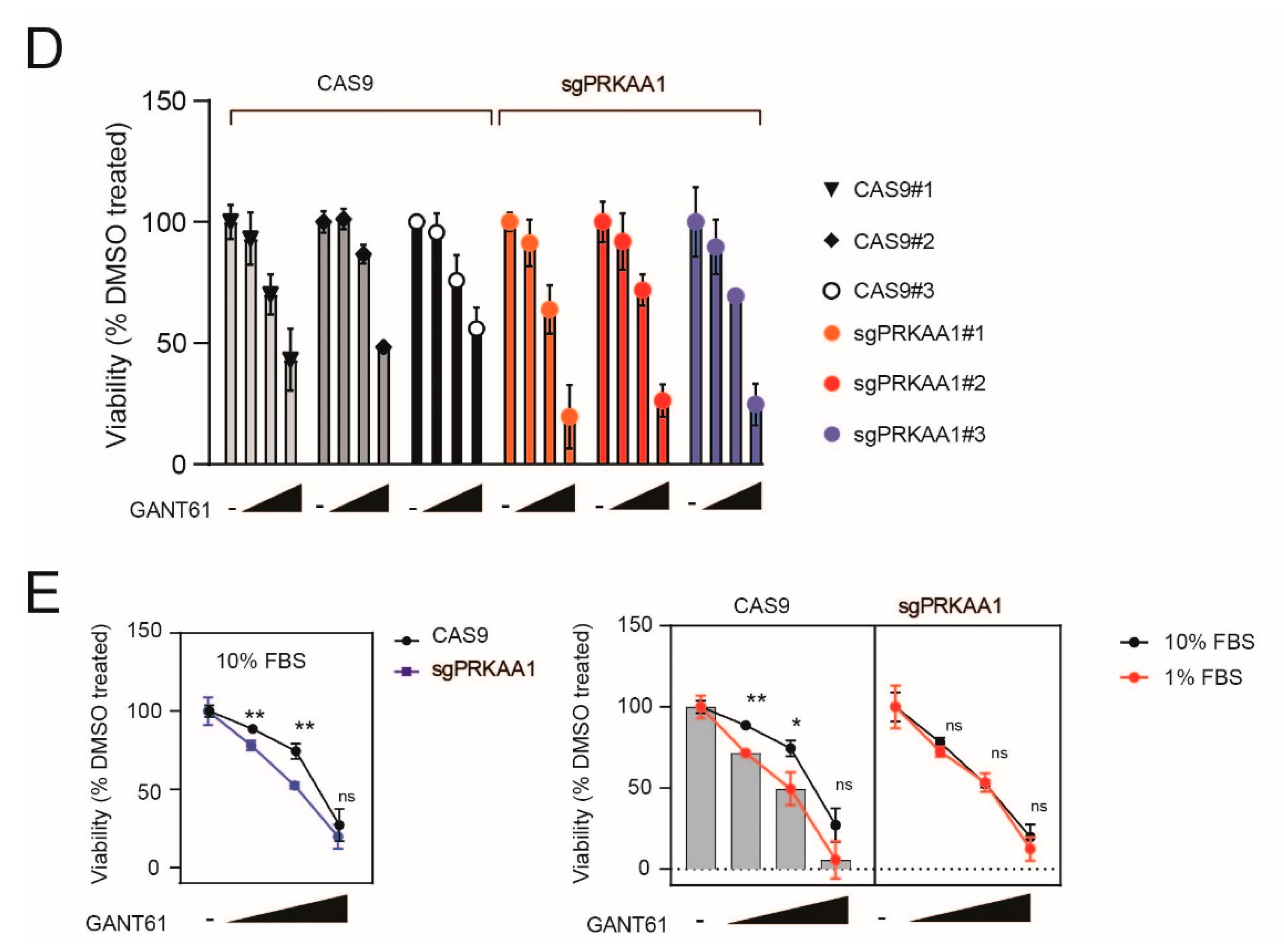 IJMS | Free Full-Text | Responsiveness to Hedgehog Pathway Inhibitors in  T-Cell Acute Lymphoblastic Leukemia Cells Is Highly Dependent on  5′AMP-Activated Kinase Inactivation | HTML