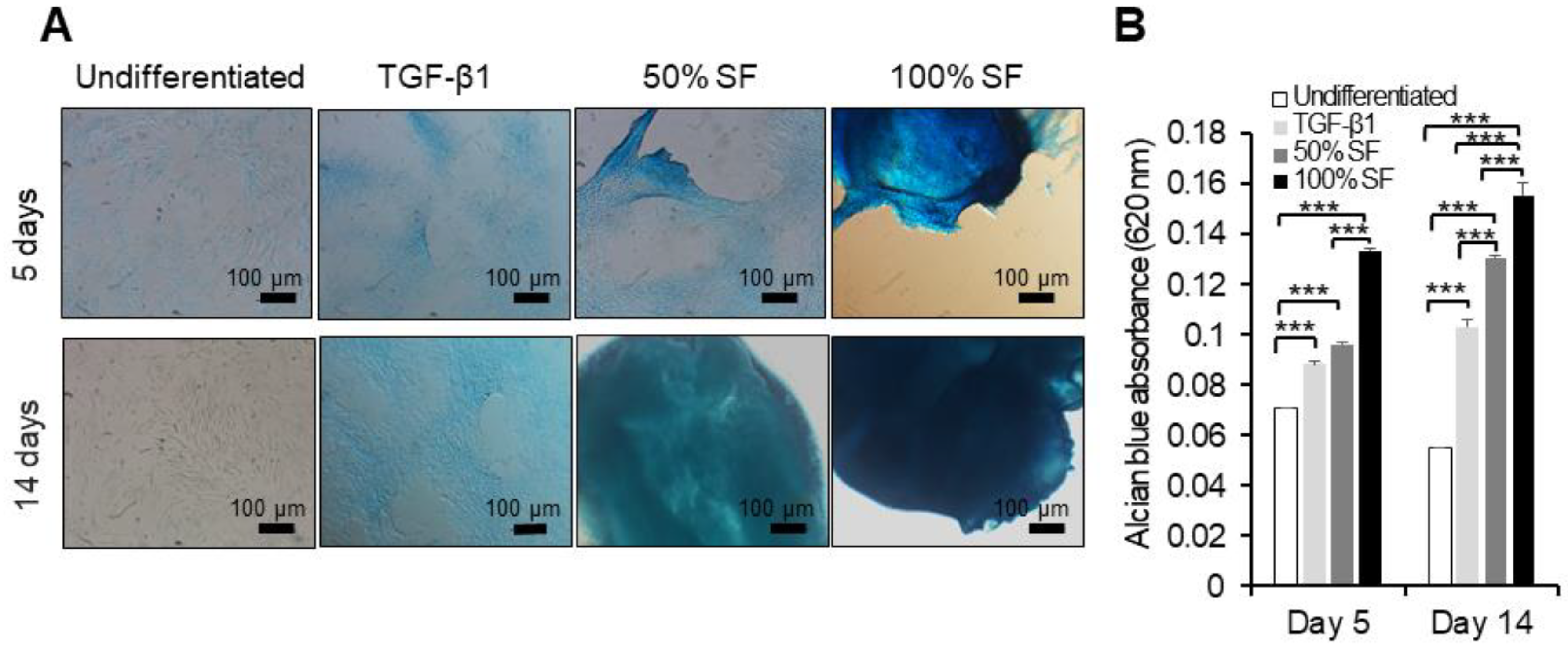 Ijms 22 06391 g004 Ijms 22 06391 g004