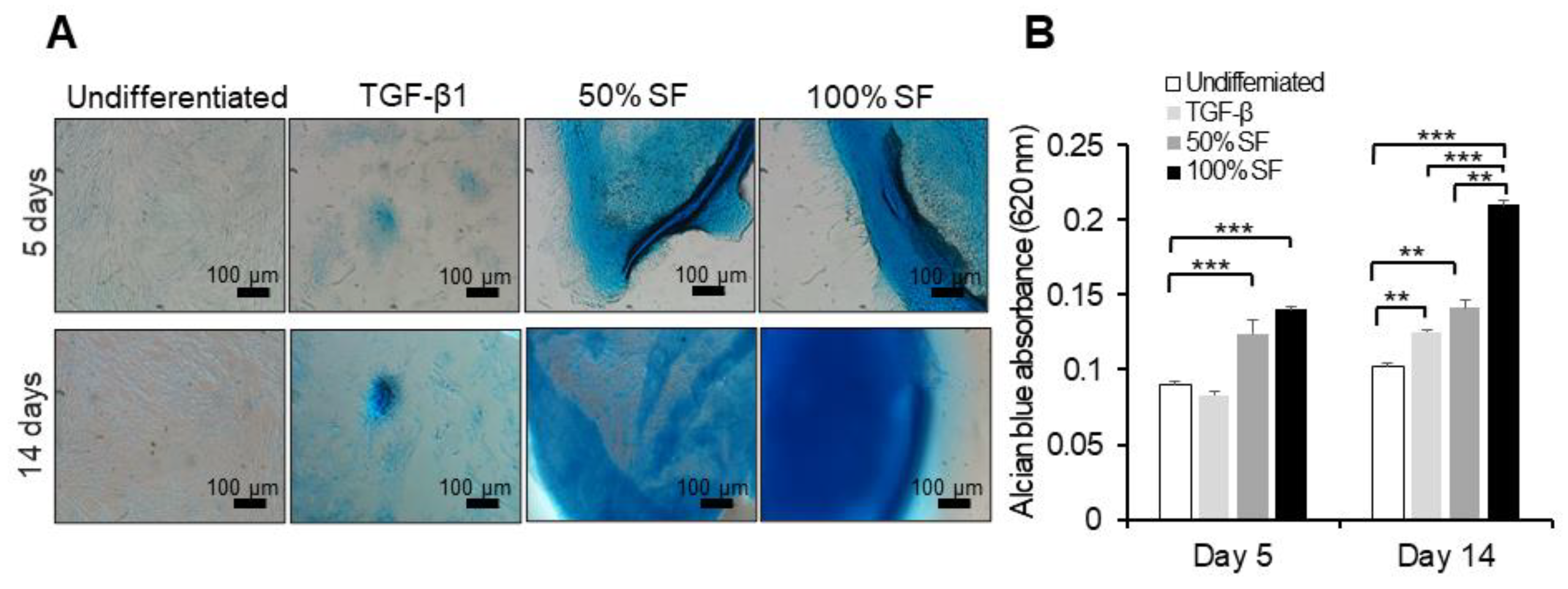 Ijms 22 06391 g005 Ijms 22 06391 g005
