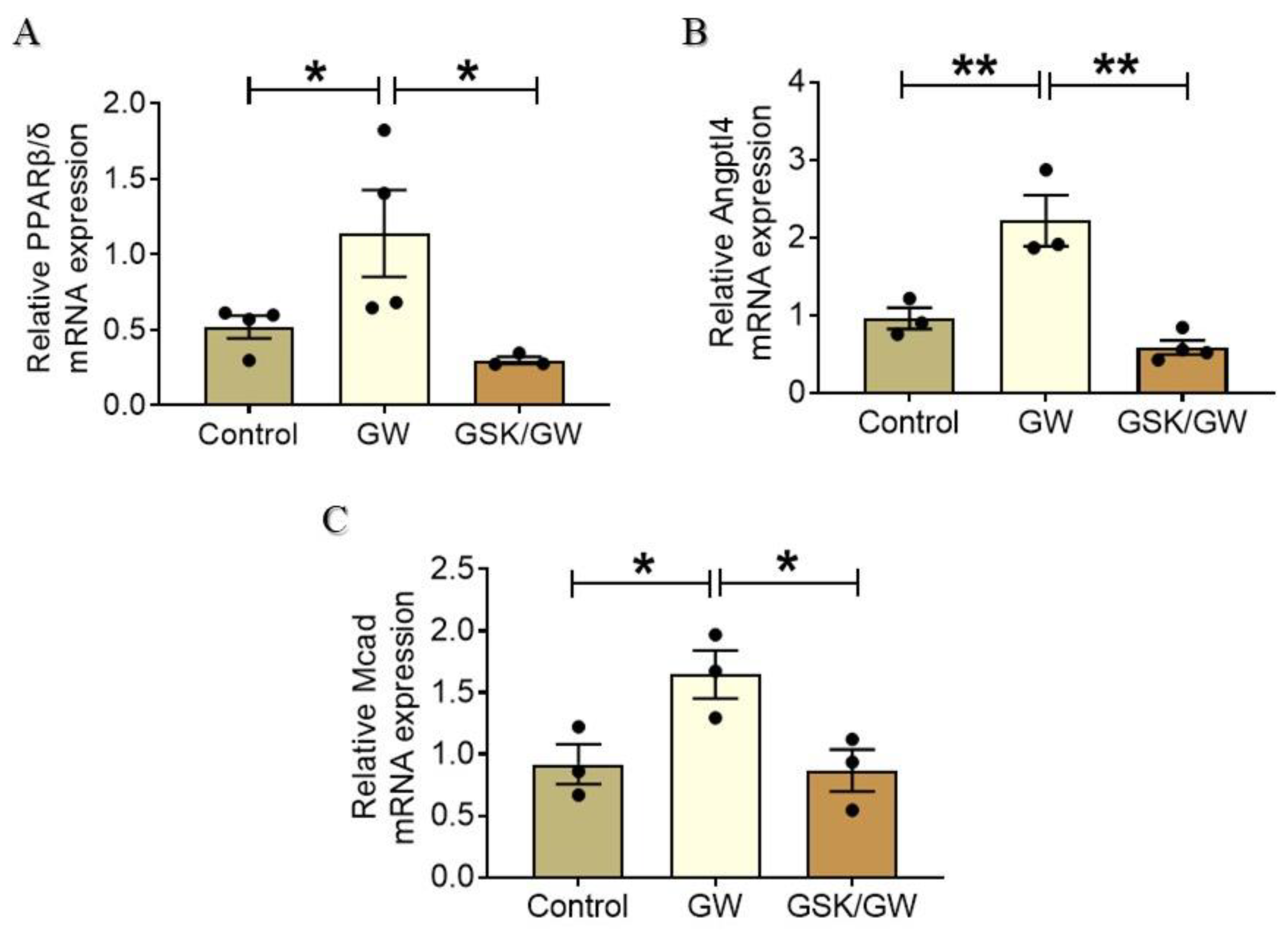 Ijms 22 06399 g002 Ijms 22 06399 g002