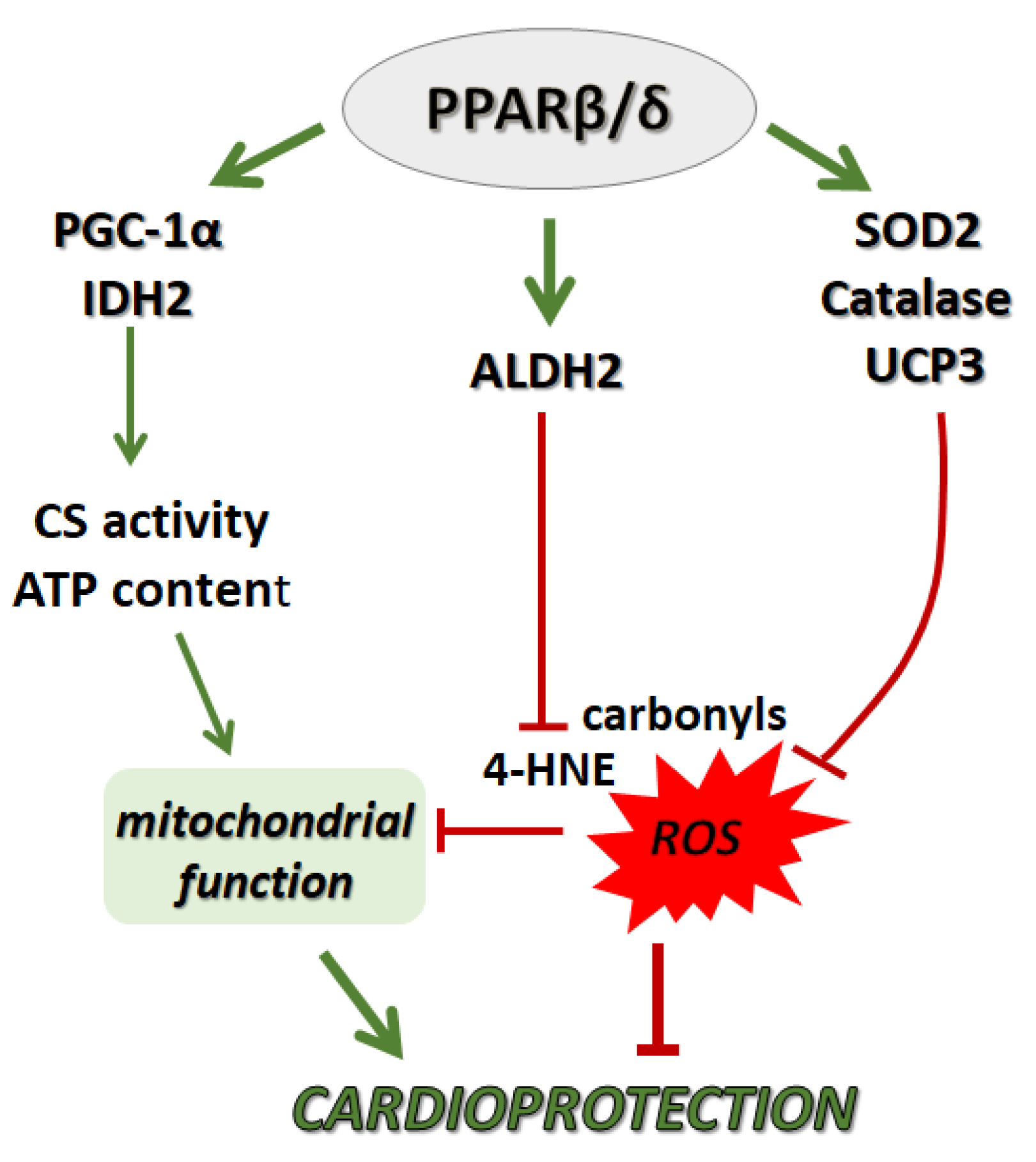 Ijms 22 06399 g006 Ijms 22 06399 g006
