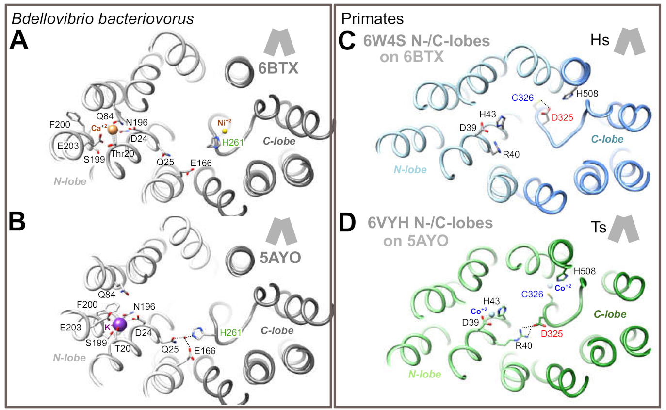 Ijms 22 06412 g004 Ijms 22 06412 g004