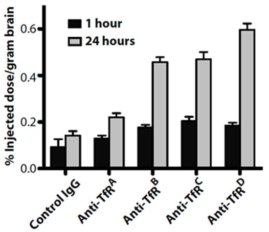 Physiology of Blood–Brain Interfaces in Relation to Brain Disposition of  Small Compounds and Macromolecules