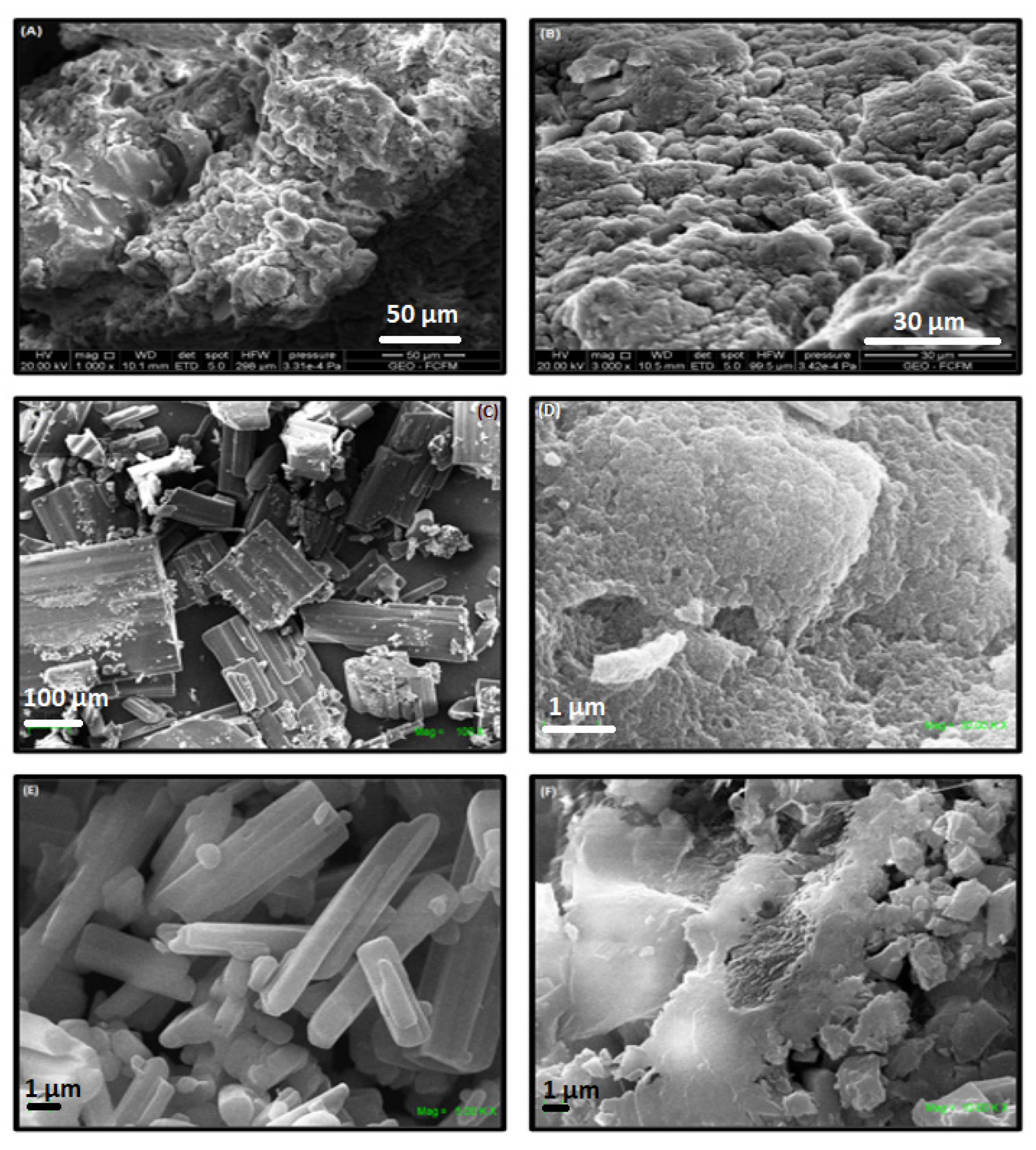 Ijms 22 06446 g006 Ijms 22 06446 g006