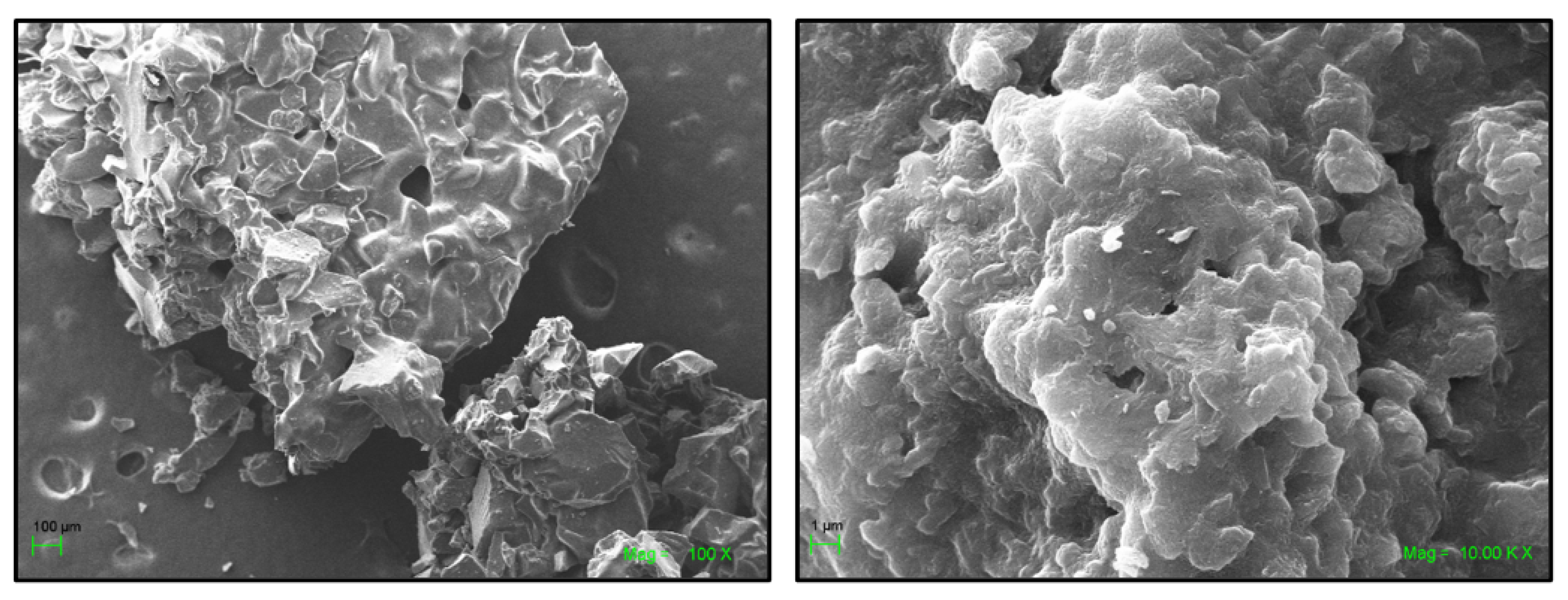 Ijms 22 06446 g008 Ijms 22 06446 g008