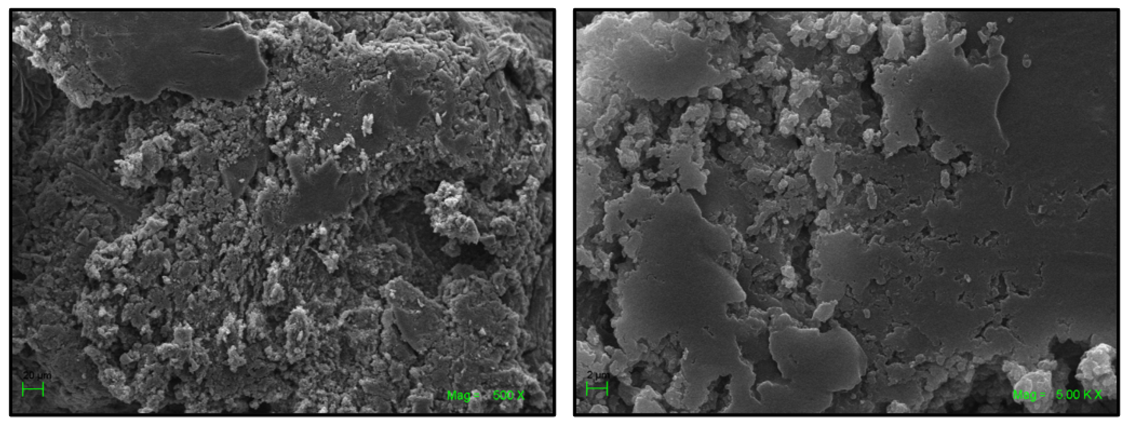 Ijms 22 06446 g009 Ijms 22 06446 g009