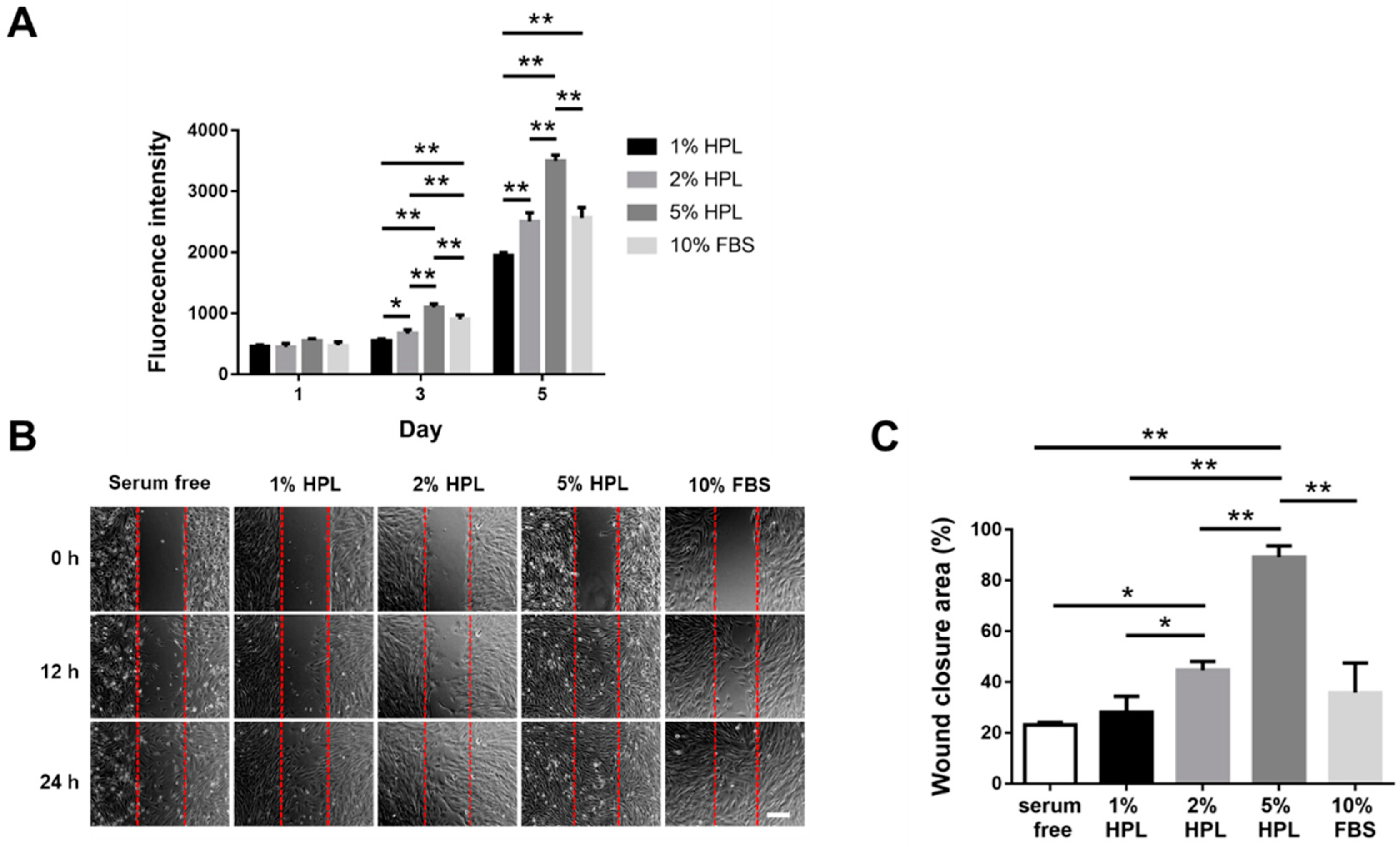 Ijms 22 06451 g001 Ijms 22 06451 g001