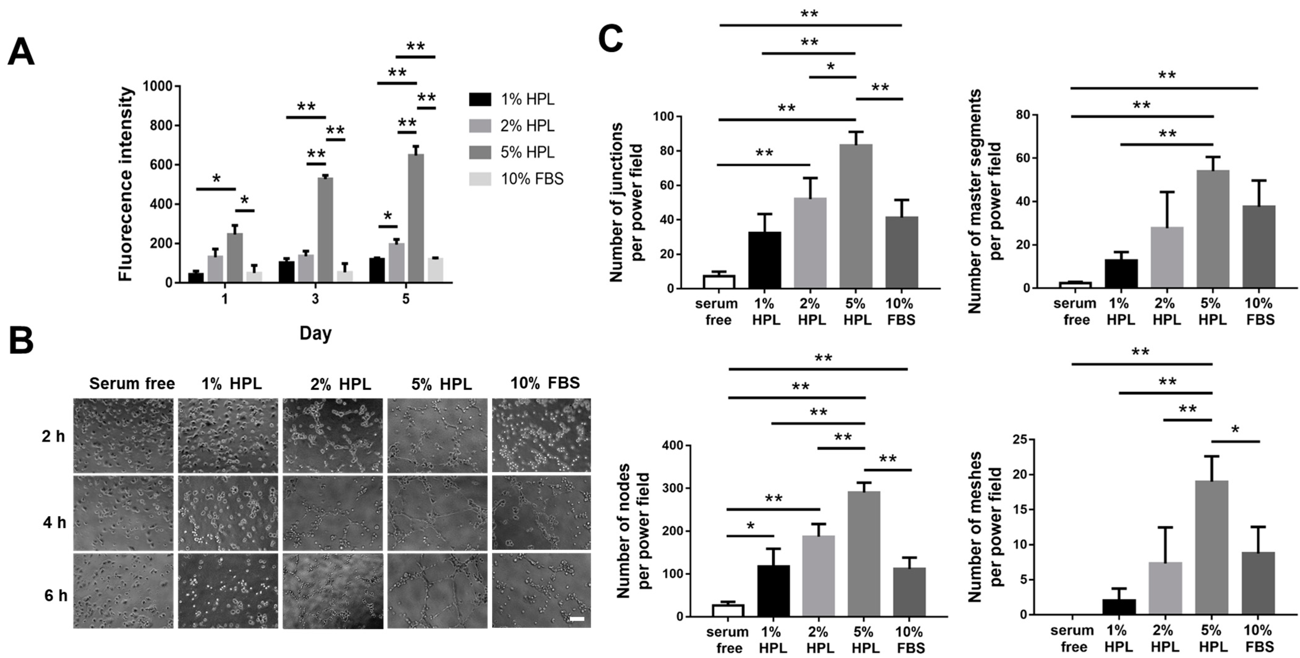 Ijms 22 06451 g002 Ijms 22 06451 g002