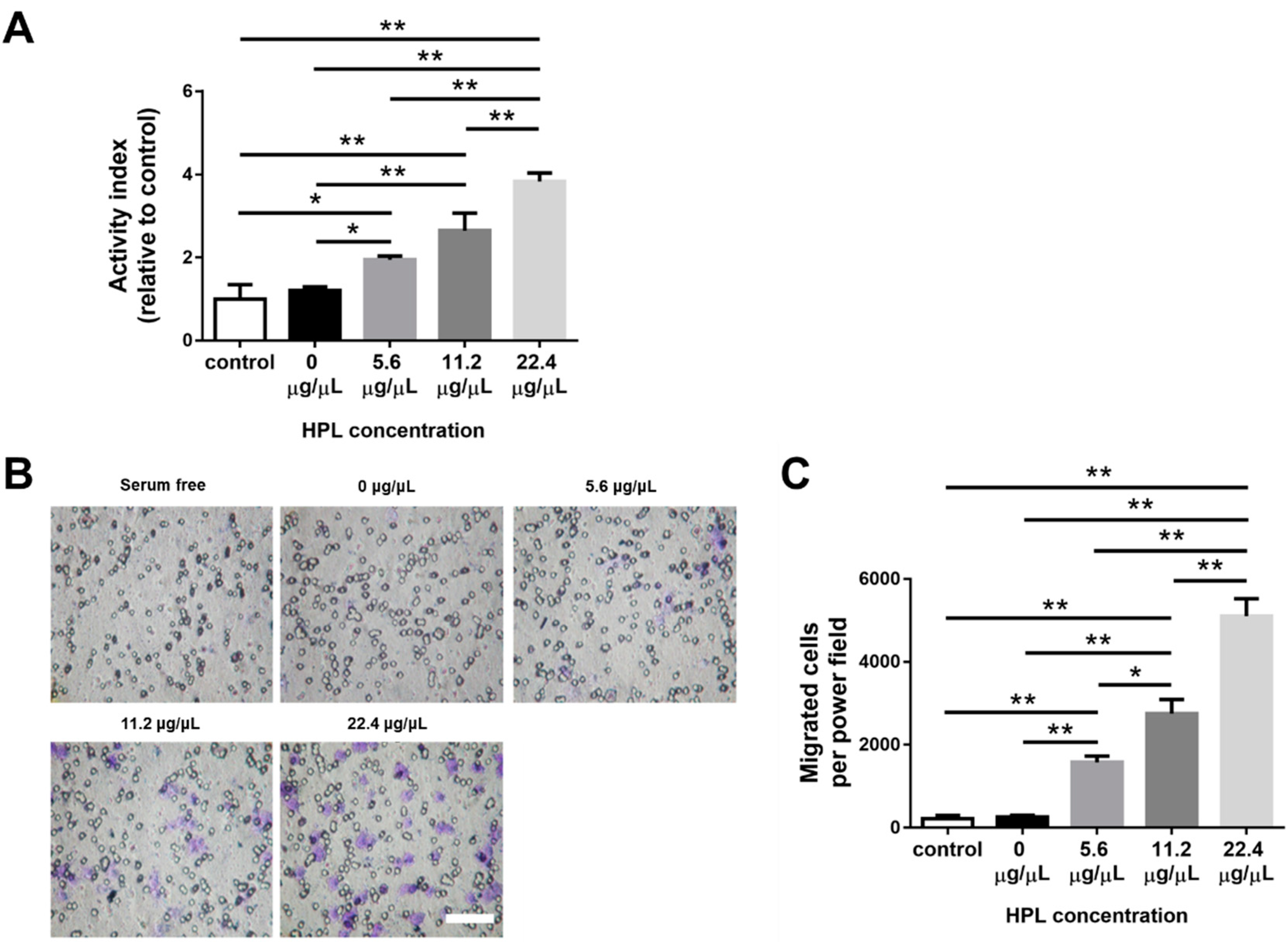 Ijms 22 06451 g006 Ijms 22 06451 g006