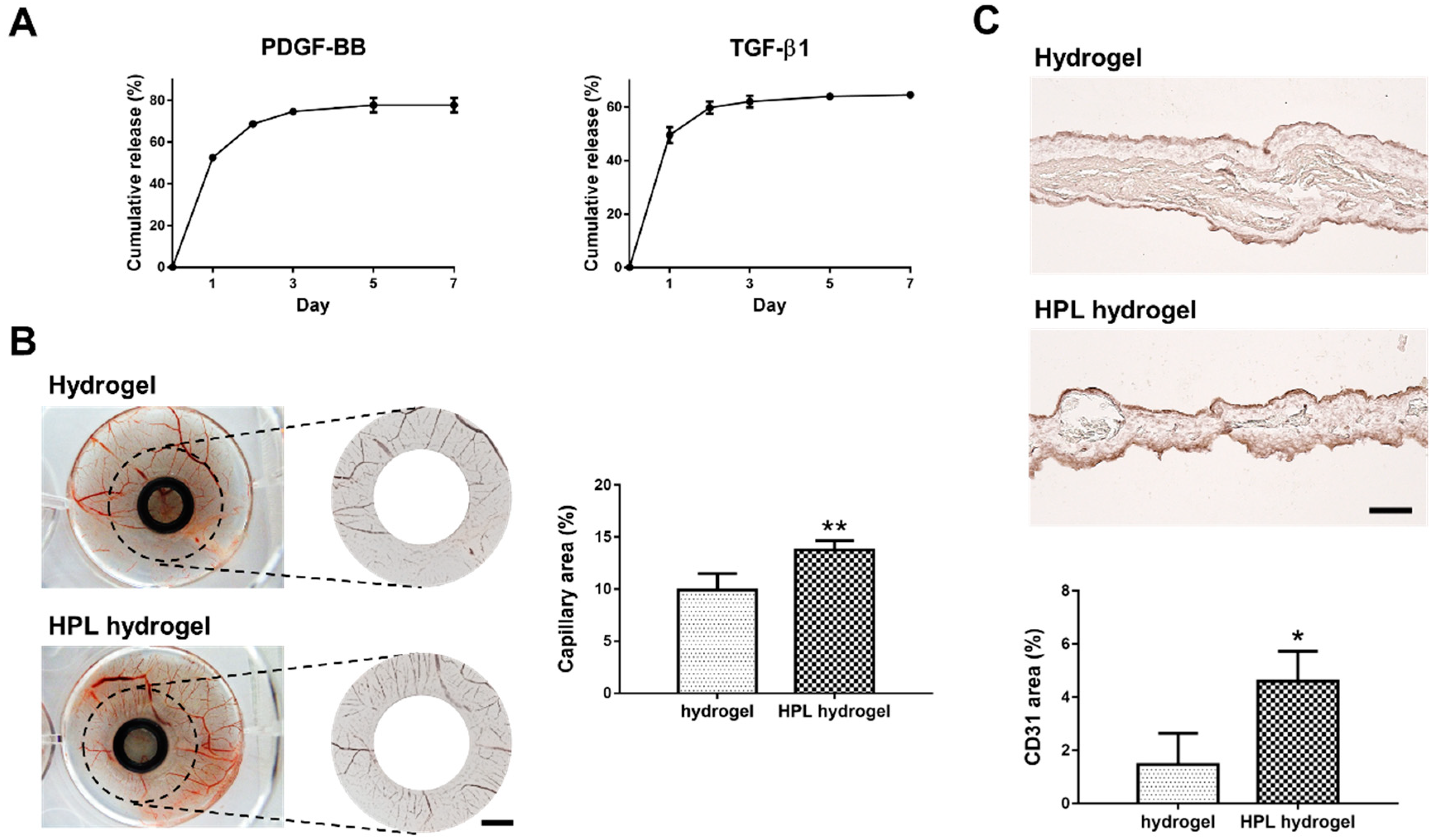 Ijms 22 06451 g007 Ijms 22 06451 g007
