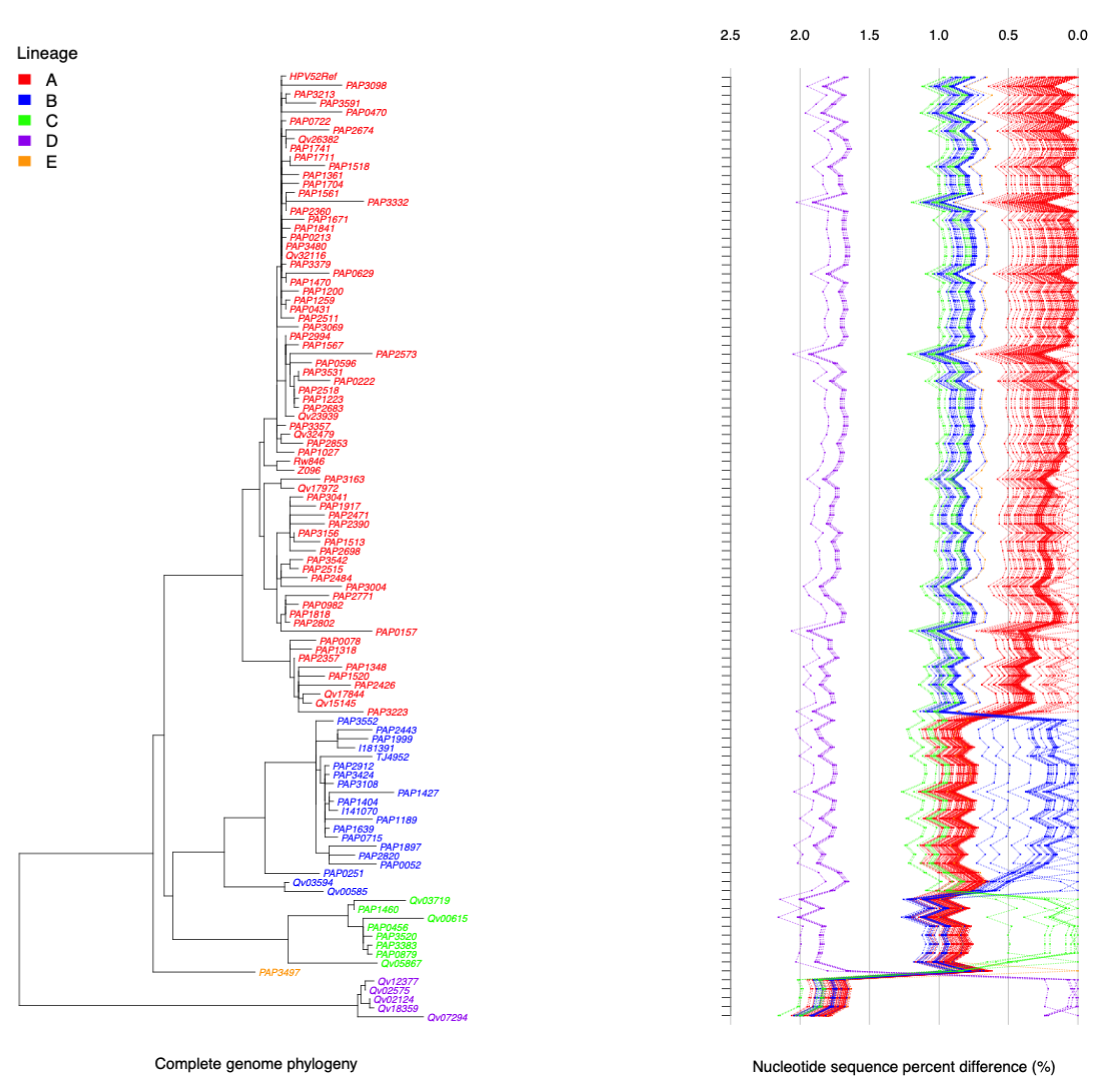 Ijms 22 06463 g002 Ijms 22 06463 g002