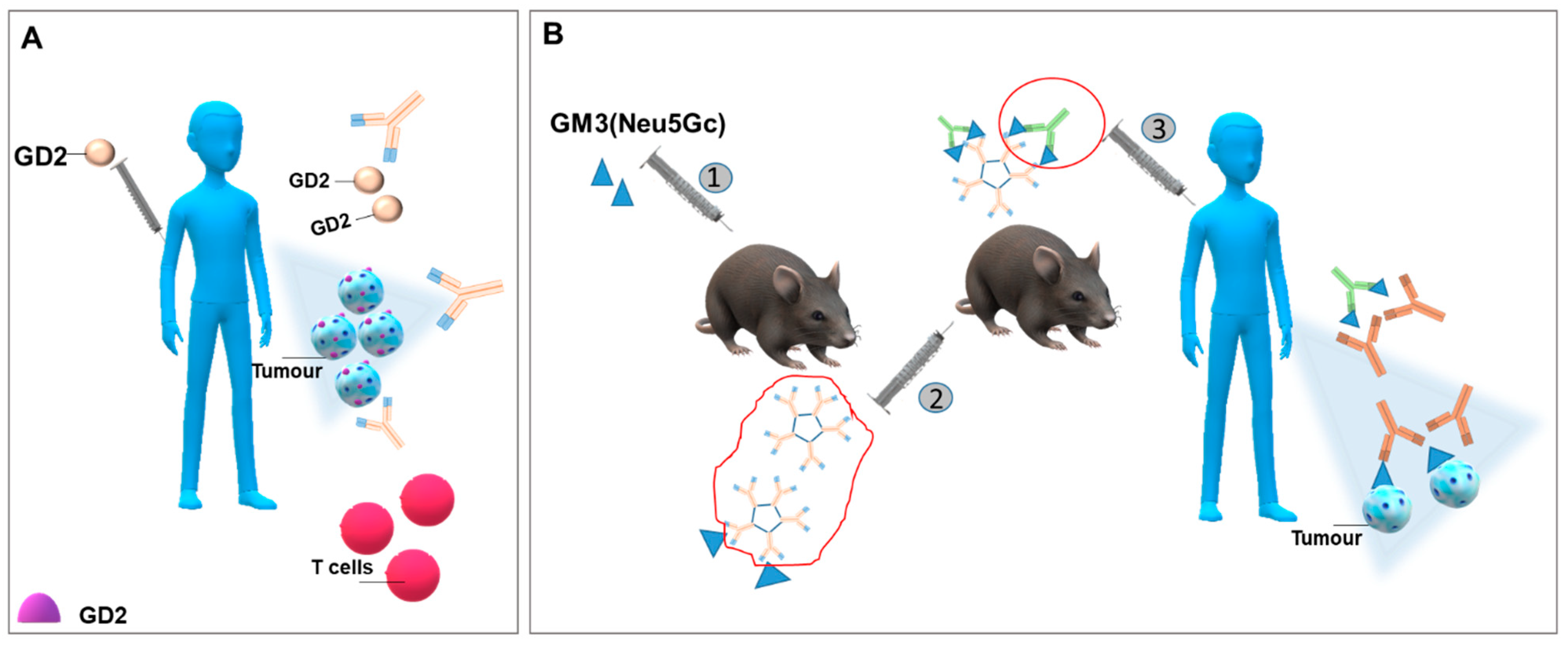 Ijms 22 06492 g002 Ijms 22 06492 g002