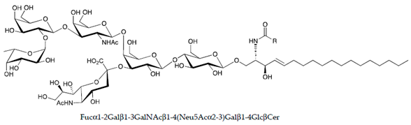 Ijms 22 06492 i012 Ijms 22 06492 i012